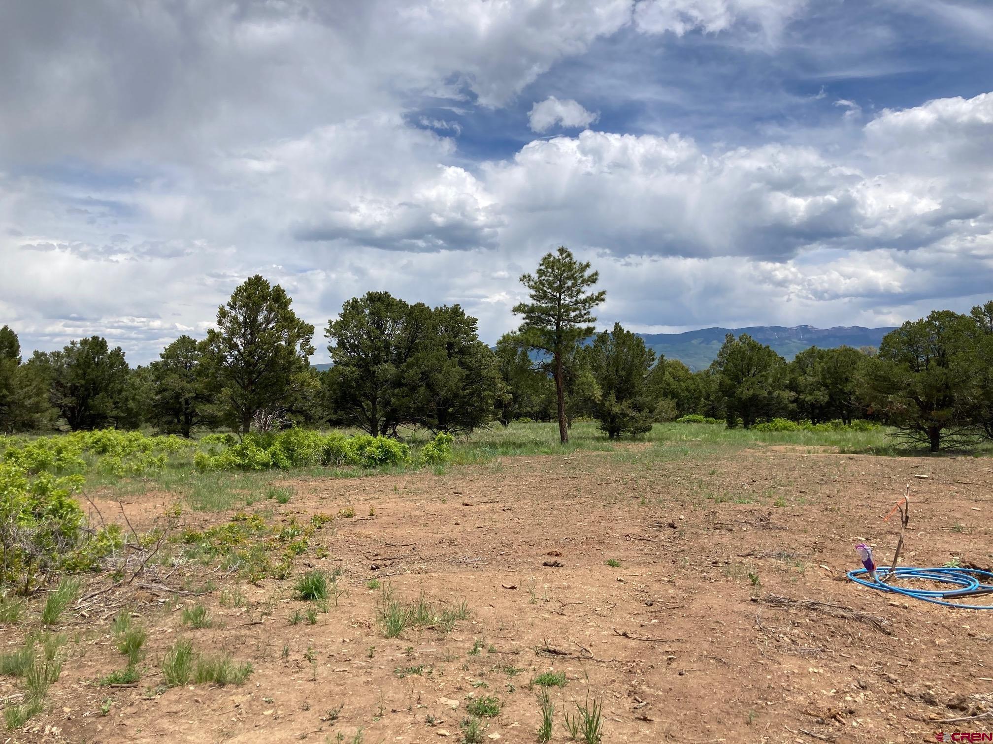 Photo of 193 Fisher Canyon Dr in Ridgway, CO
