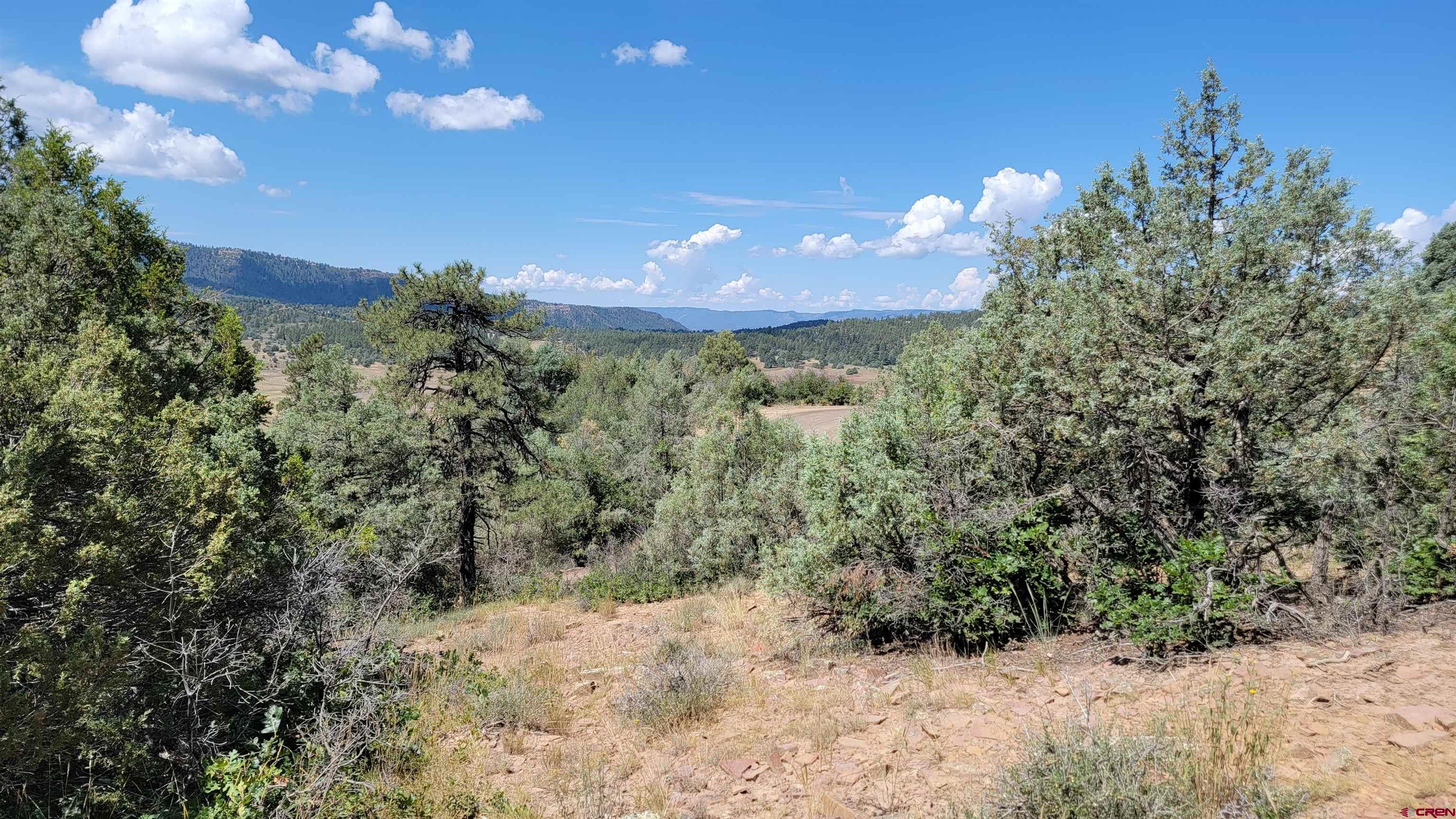 531/575 West View Road, Pagosa Springs, CO 81147 Listing Photo  1
