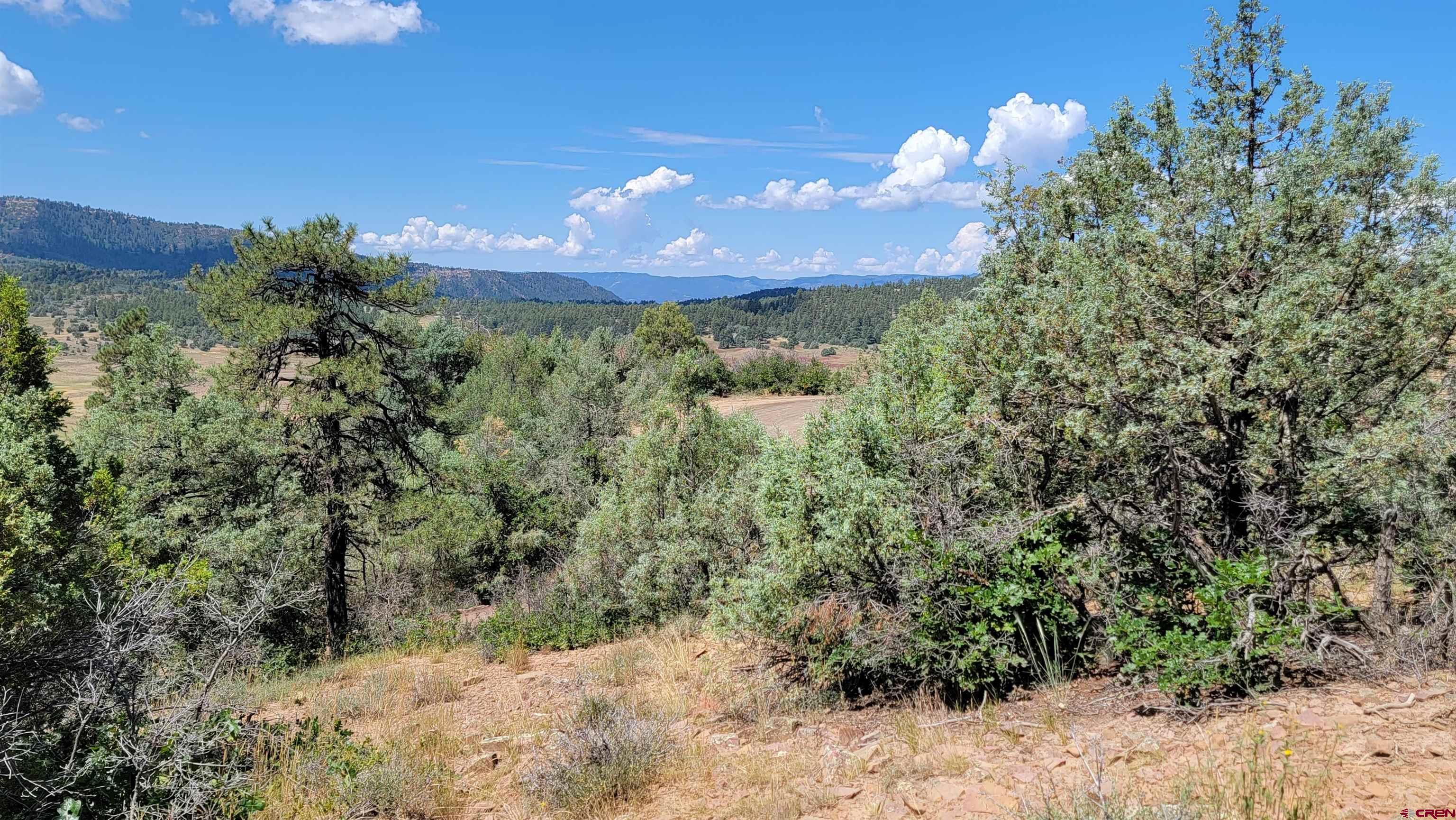 531/575 West View Road, Pagosa Springs, CO 81147 Listing Photo  2