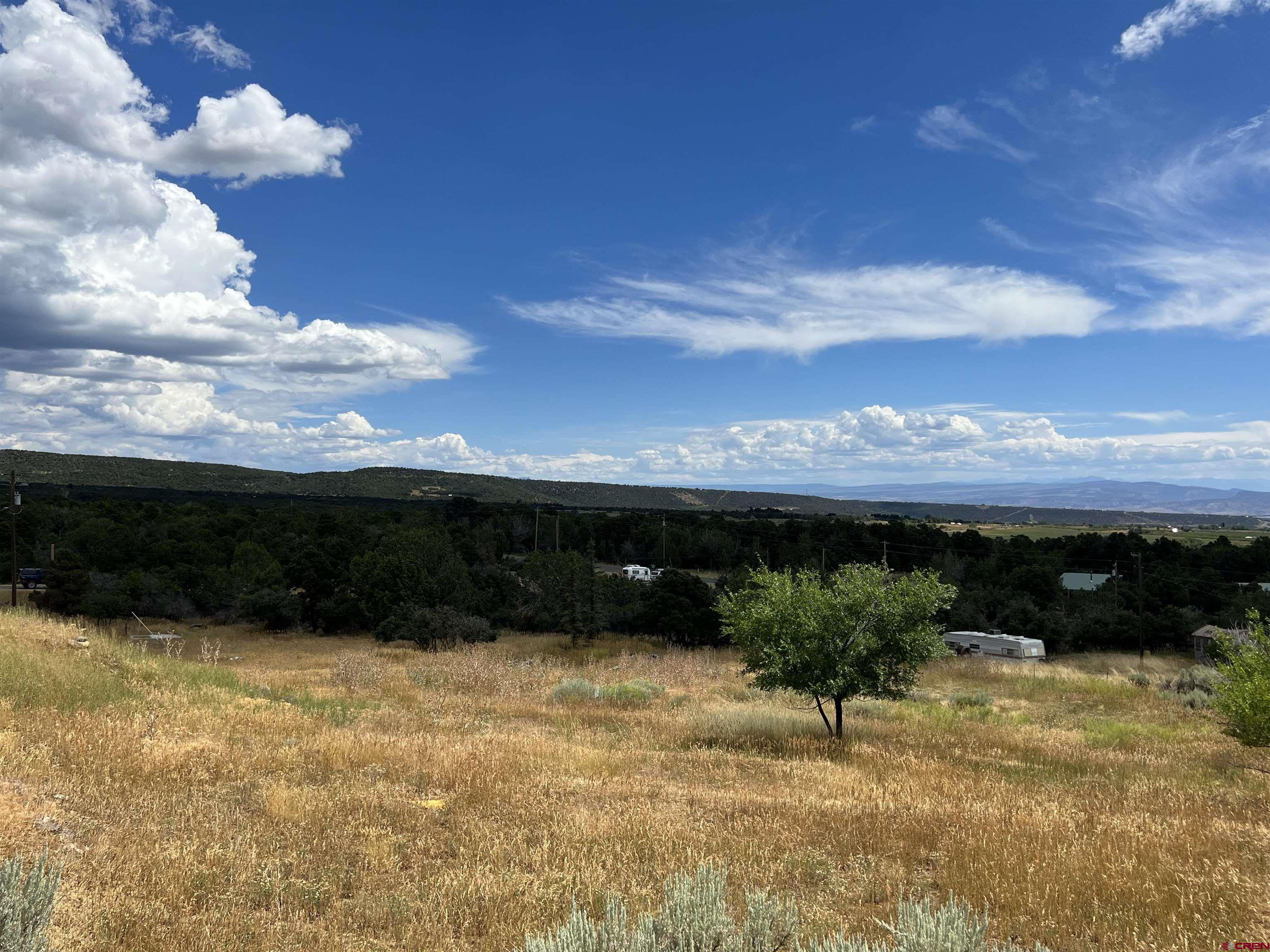 Five acres with great Grand Mesa views and paved road frontage. Property has several vehicles, buses and other debris but when cleaned up would make a great home site. Rolling terrain. With its proximity to the town of Cedaredge and Montrose being less than an hour away and Grand Junction about an hour and a half away you are within reach of airports shopping and more. This property is located at the base of the World famous Grand Mesa with its nearly one million acres of BLM land with nearly 360 lakes and reservoirs you can enjoy endless recreational activities.  Powderhorn Ski resort is a scenic drive up and over the Mesa. Excellent hunting and fishing is to be had with all of the public lands and lakes and rivers for you to enjoy!  PROPERTY HAS THREE STREET ADDRESSES AS FOLLOWS, 20567, 20557 & 20563 HWY 65