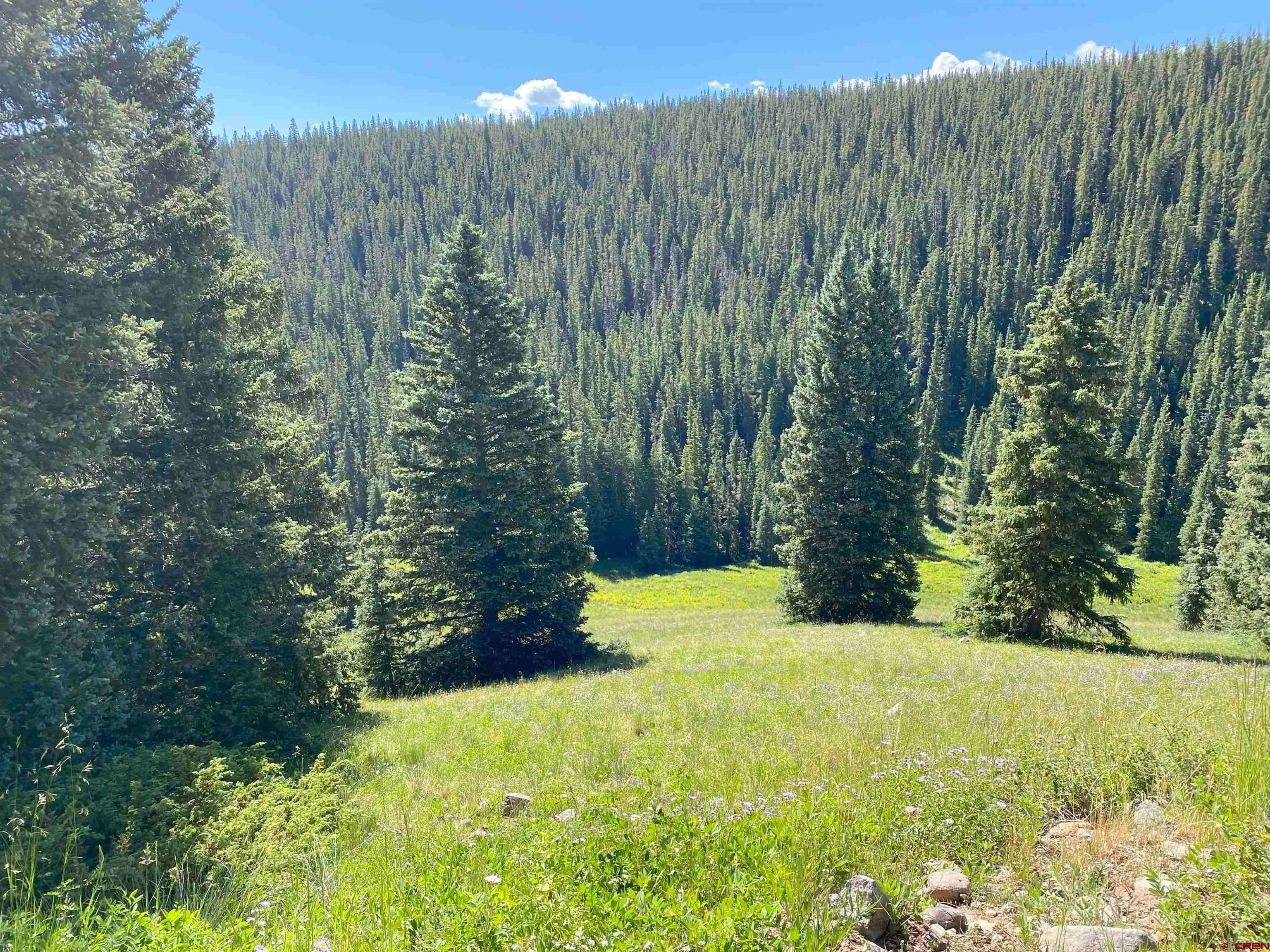 Photo of Tbd County Rd 864A in Cimarron, CO