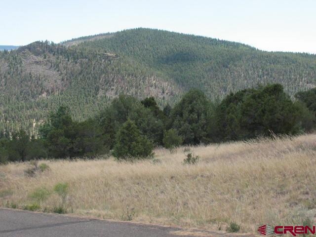 Photo of 222 Lalomita Cir in South Fork, CO