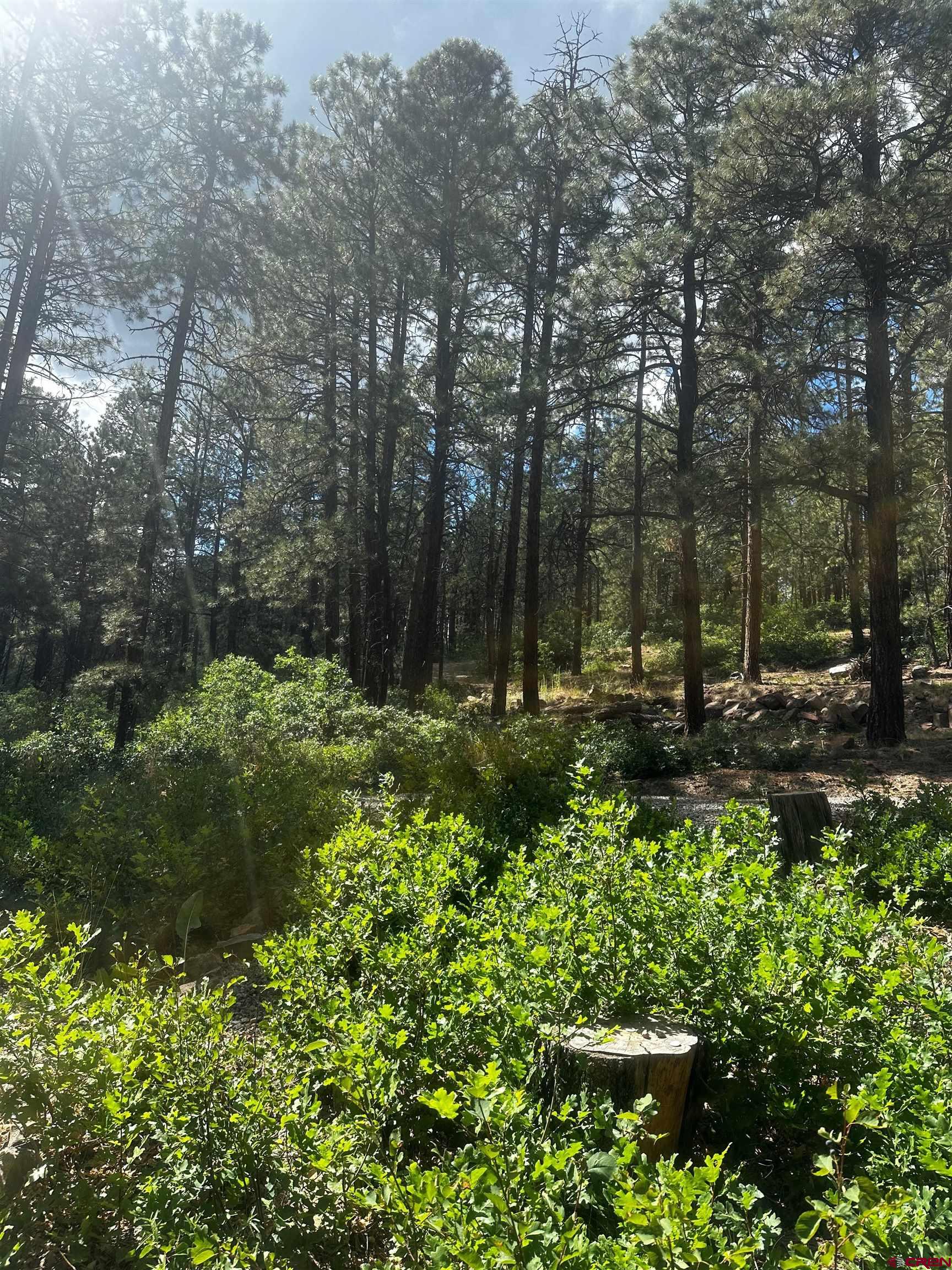 Photo of 112 Pine Crest Dr in Bayfield, CO