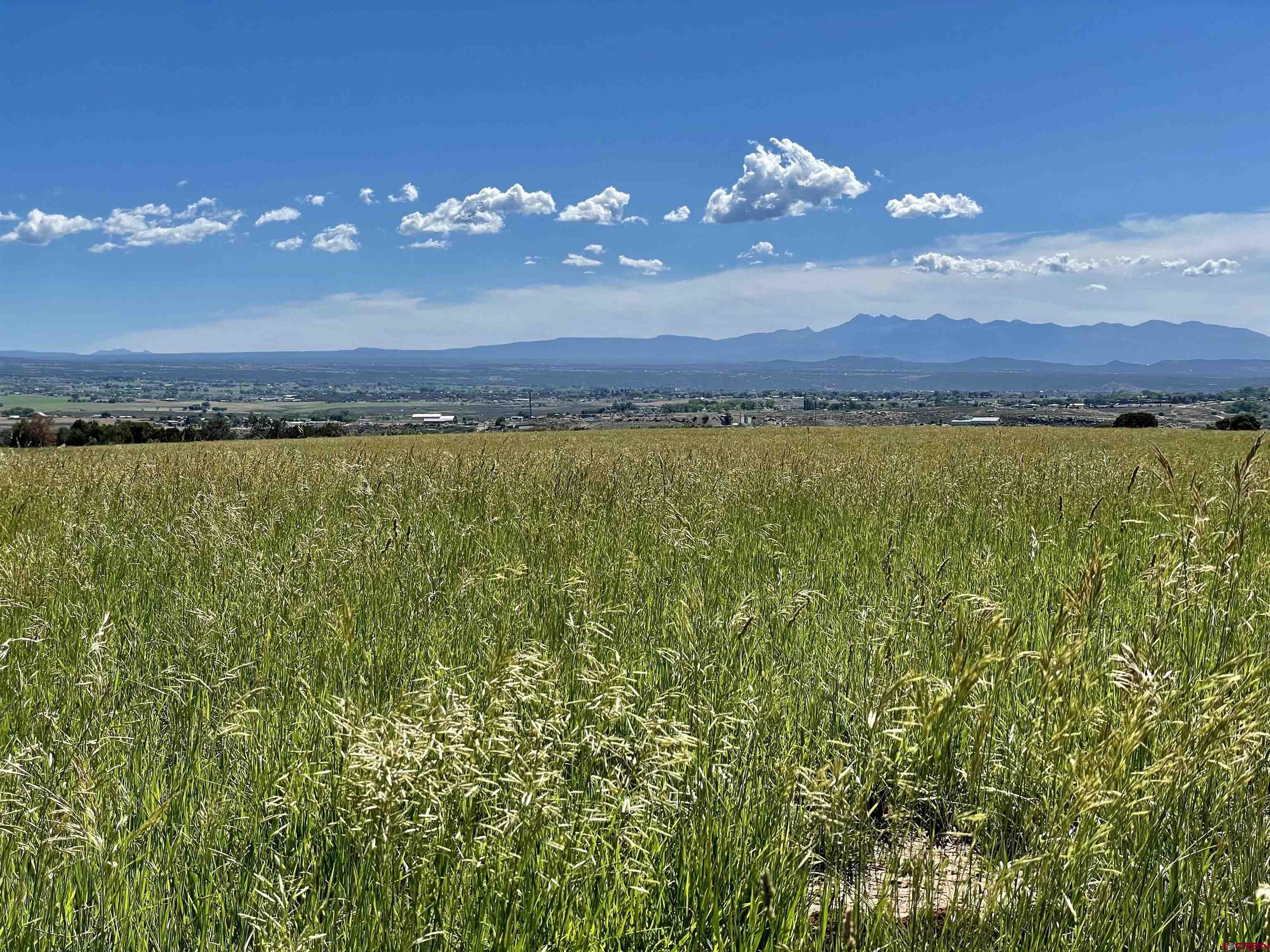 Photo of Tbd Rd 235 in Cortez, CO