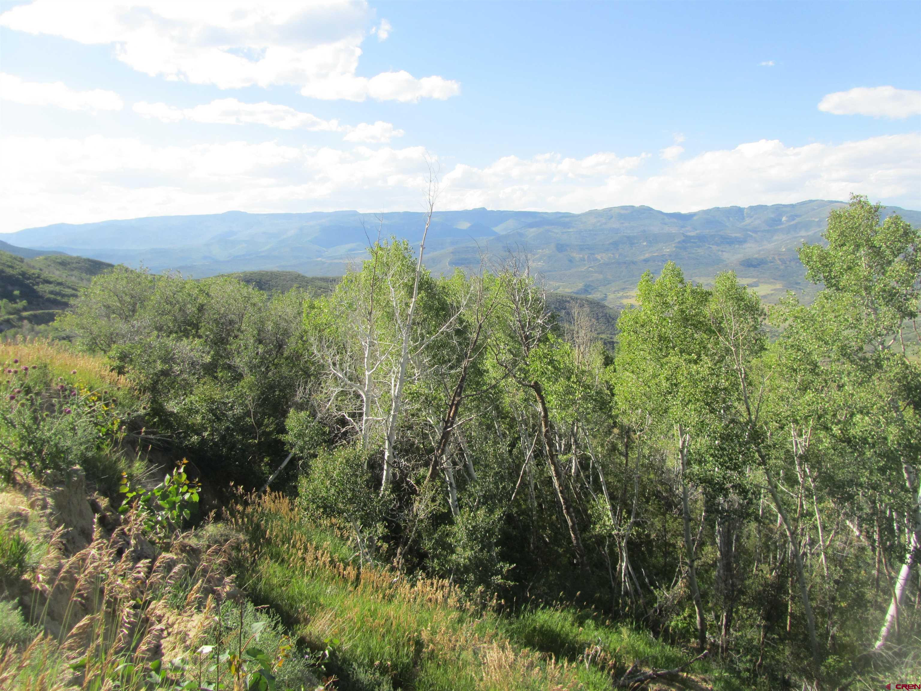 Photo of 15672 View Point Ct in Collbran, CO