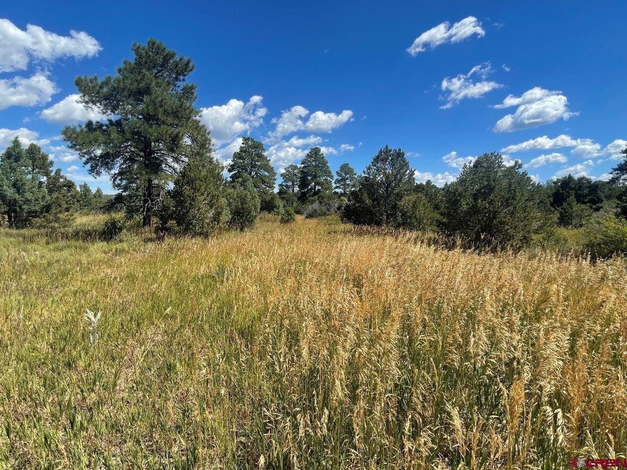 Photo of Lot 10 Road P2 Loop in Mancos, CO