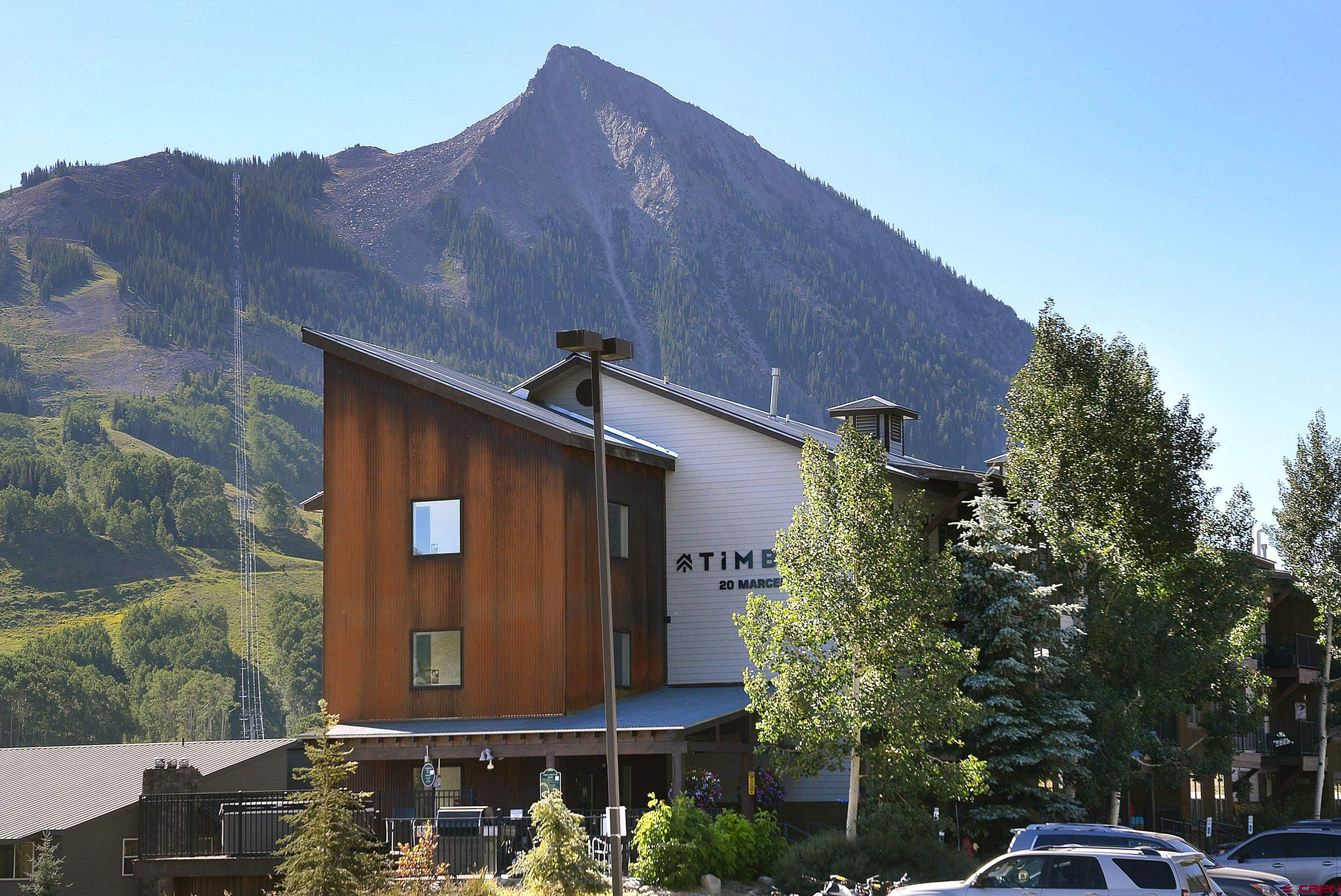 20 Marcellina Lane, Mt. Crested Butte, CO 81225
