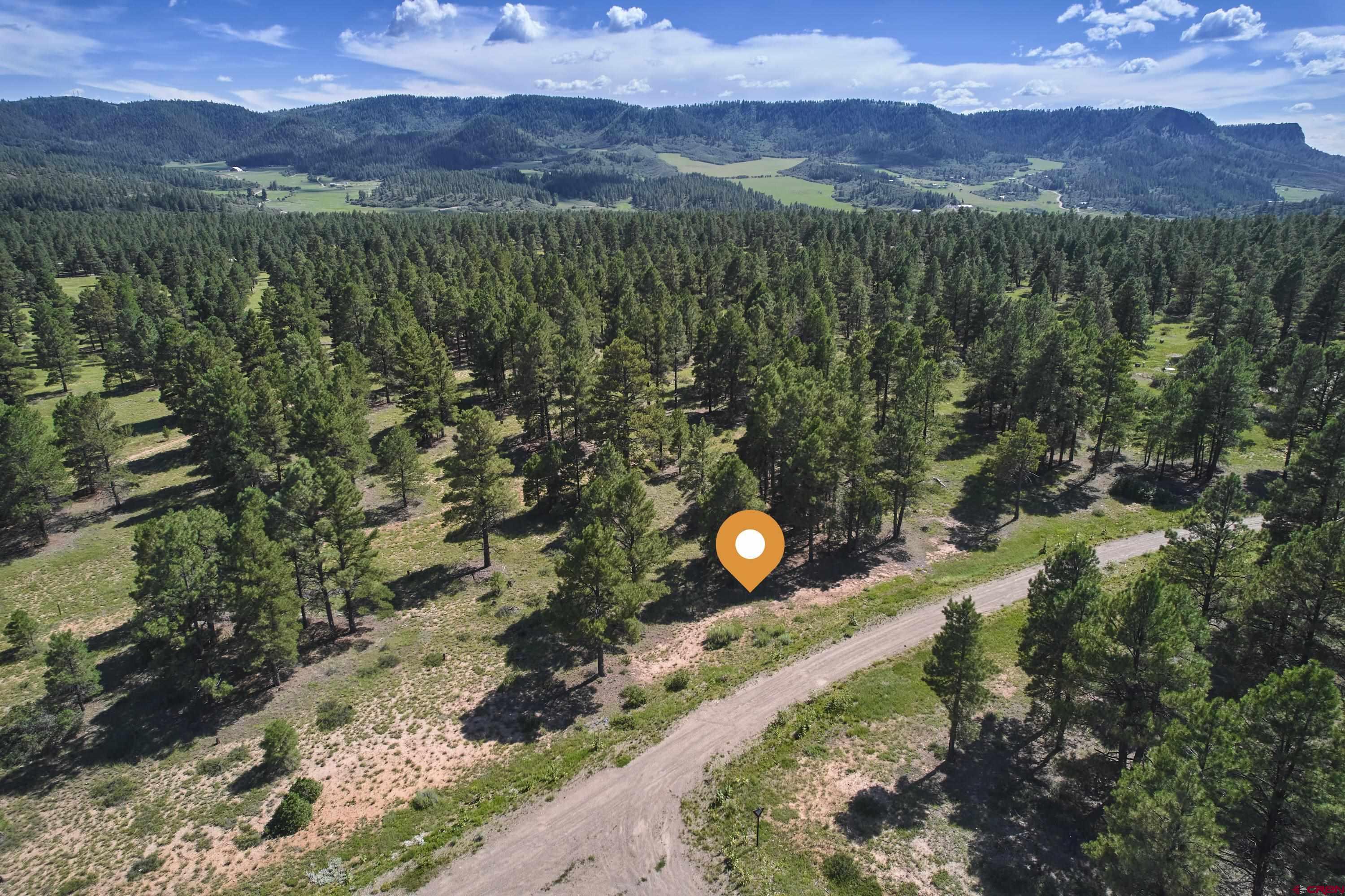 Photo of 190 Mansions Cir in Pagosa Springs, CO