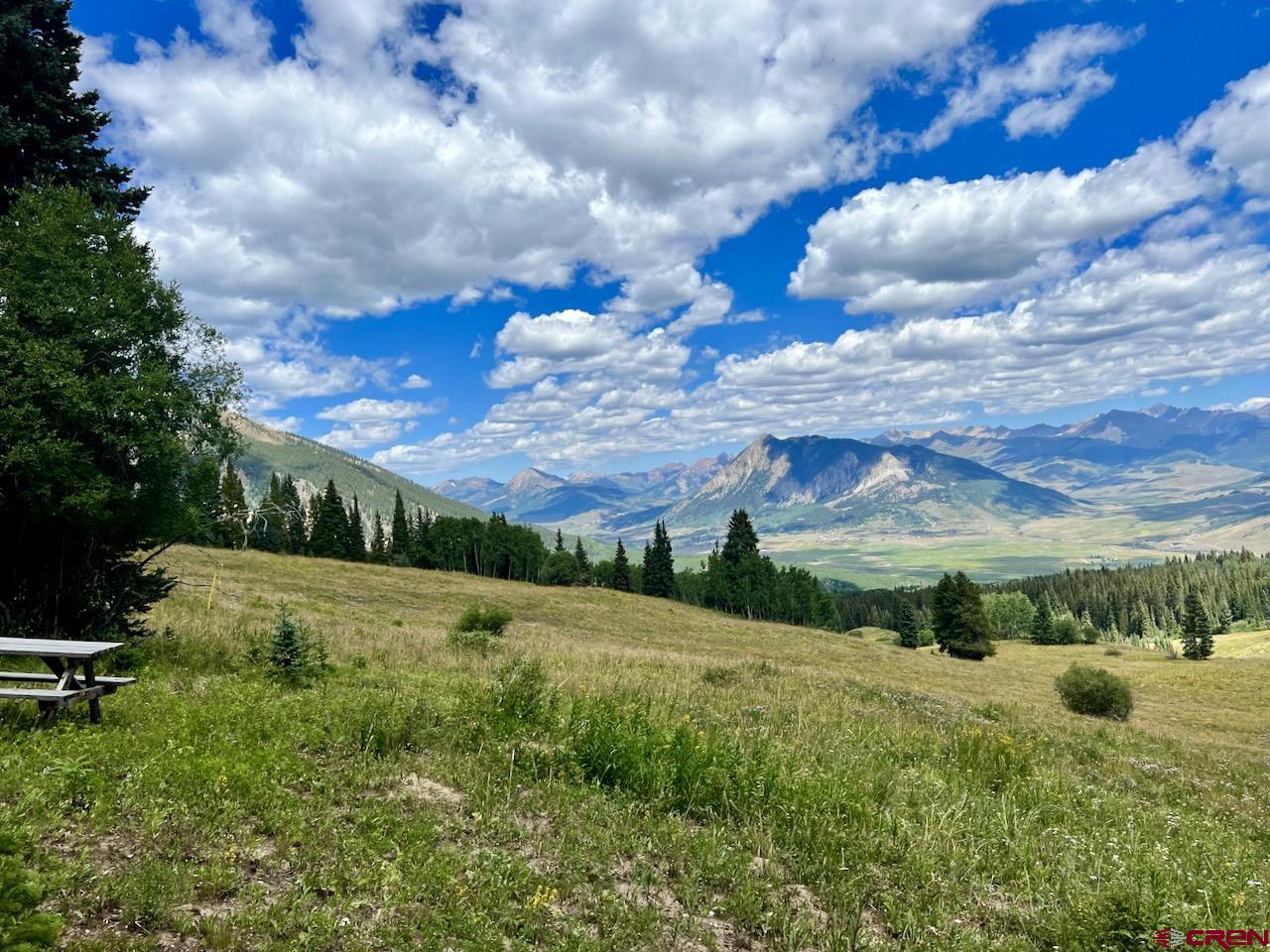 497 Coal Camp Road, Crested Butte, CO 81224 Listing Photo  11