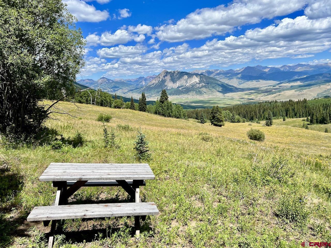 497 Coal Camp Road, Crested Butte, CO 81224 Listing Photo  3