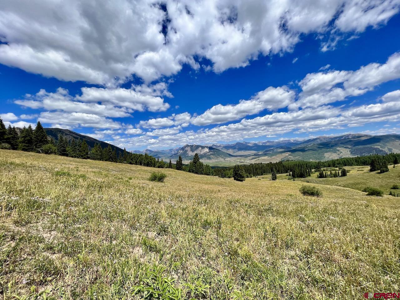 497 Coal Camp Road, Crested Butte, CO 81224 Listing Photo  10