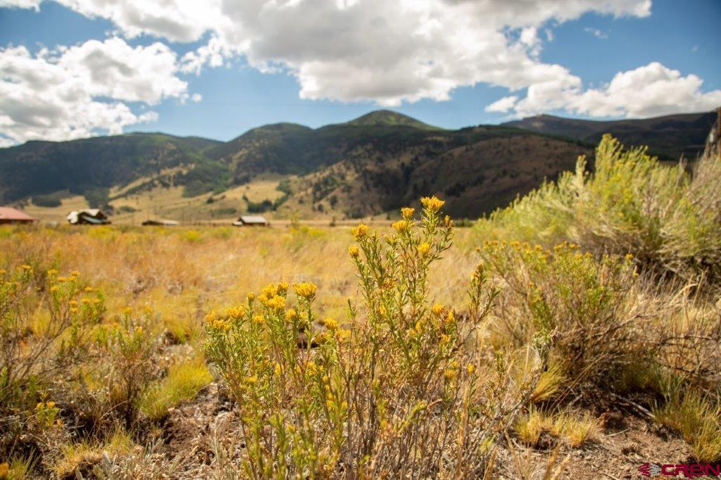 Photo of 341 Spruce Dr in Creede, CO