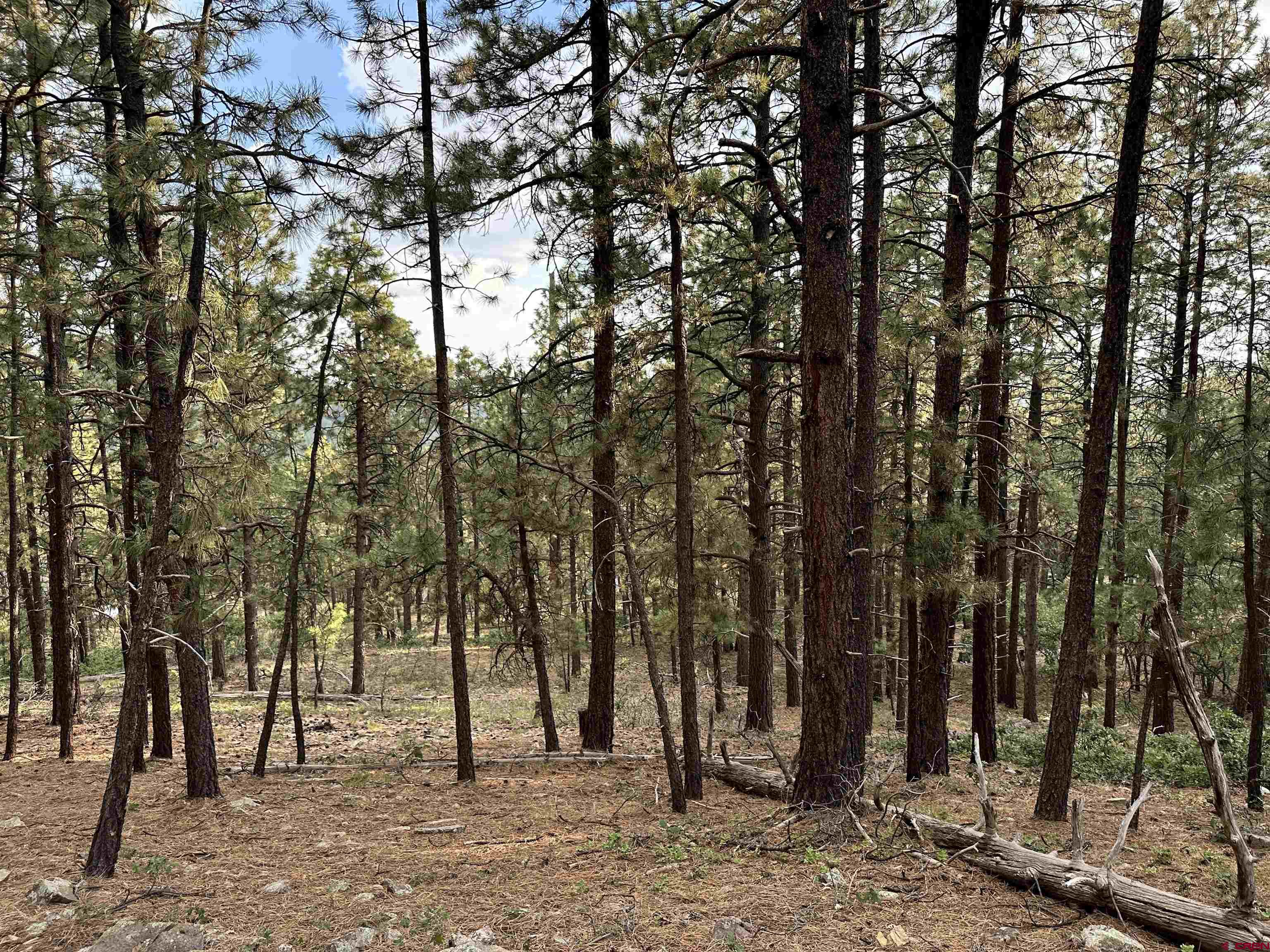 Photo of 259 Hillside Cir in Bayfield, CO