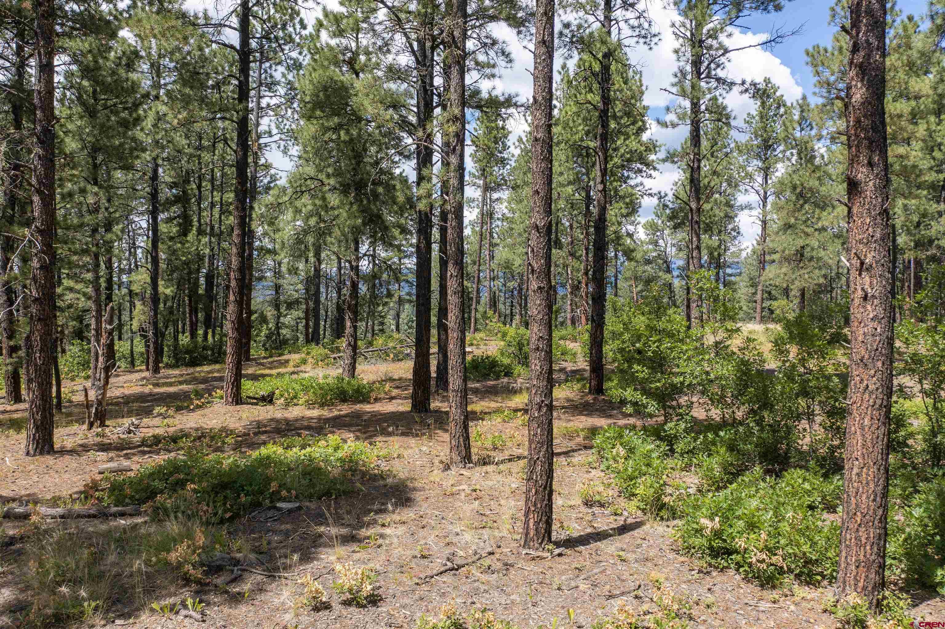 TBD County Road 400, Pagosa Springs, CO 81147 Listing Photo  16