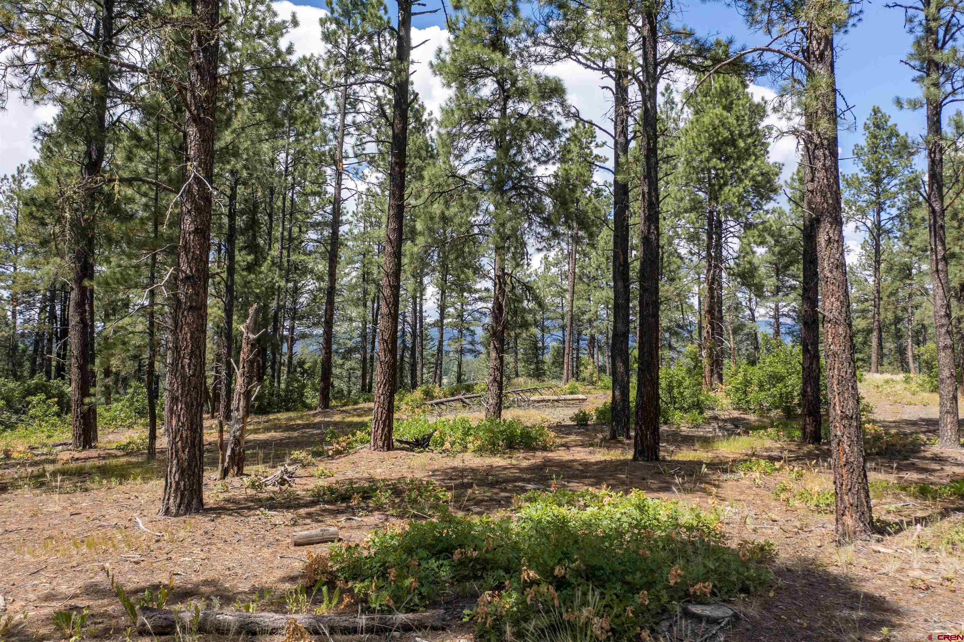 TBD County Road 400, Pagosa Springs, CO 81147 Listing Photo  17