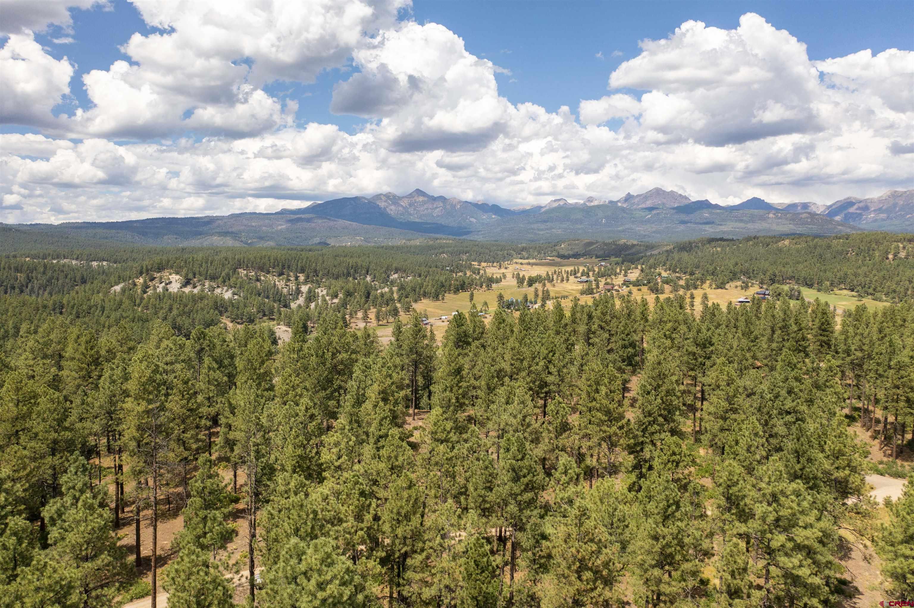 TBD County Road 400, Pagosa Springs, CO 81147 Listing Photo  6
