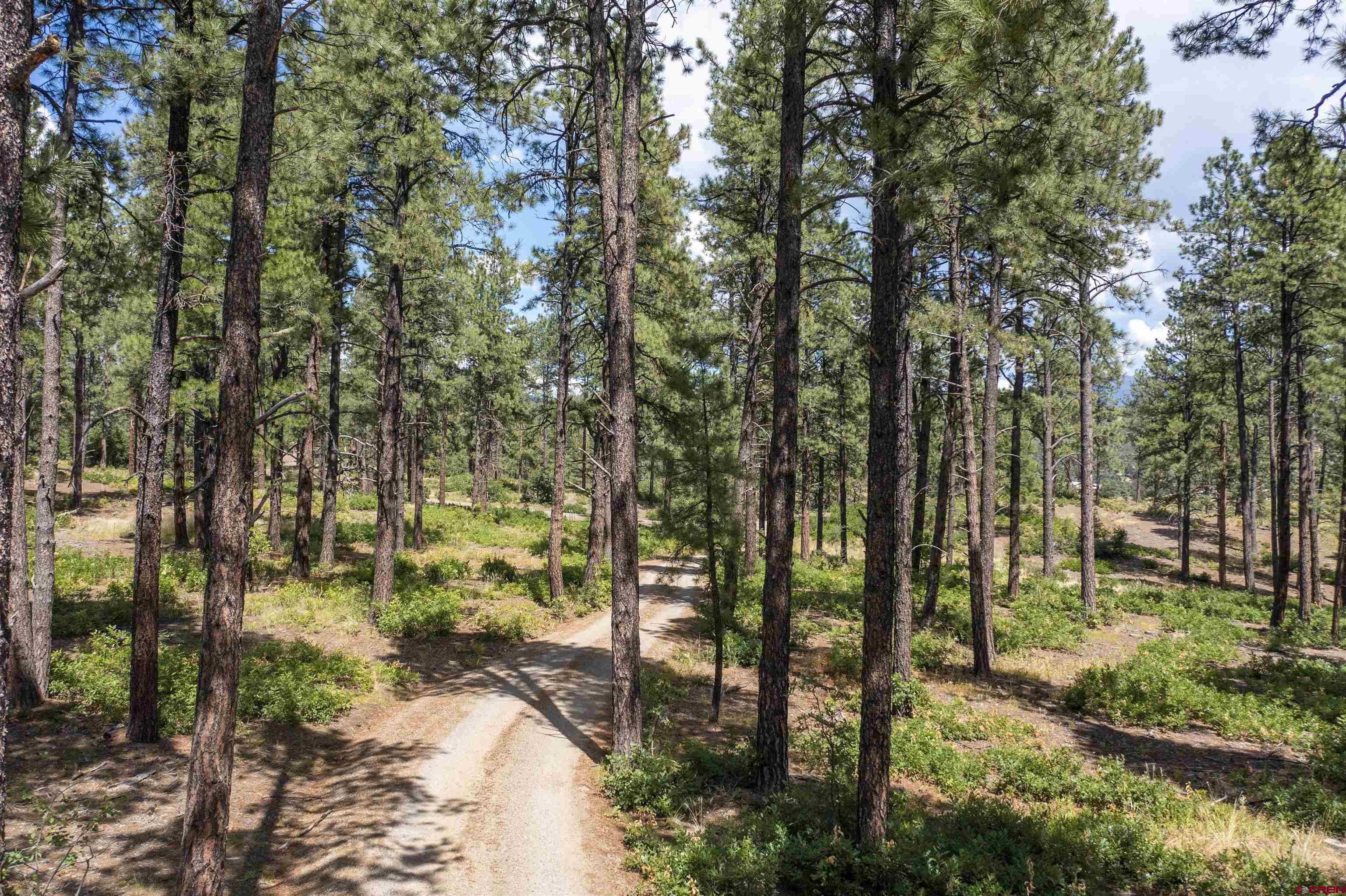 TBD County Road 400, Pagosa Springs, CO 81147 Listing Photo  8