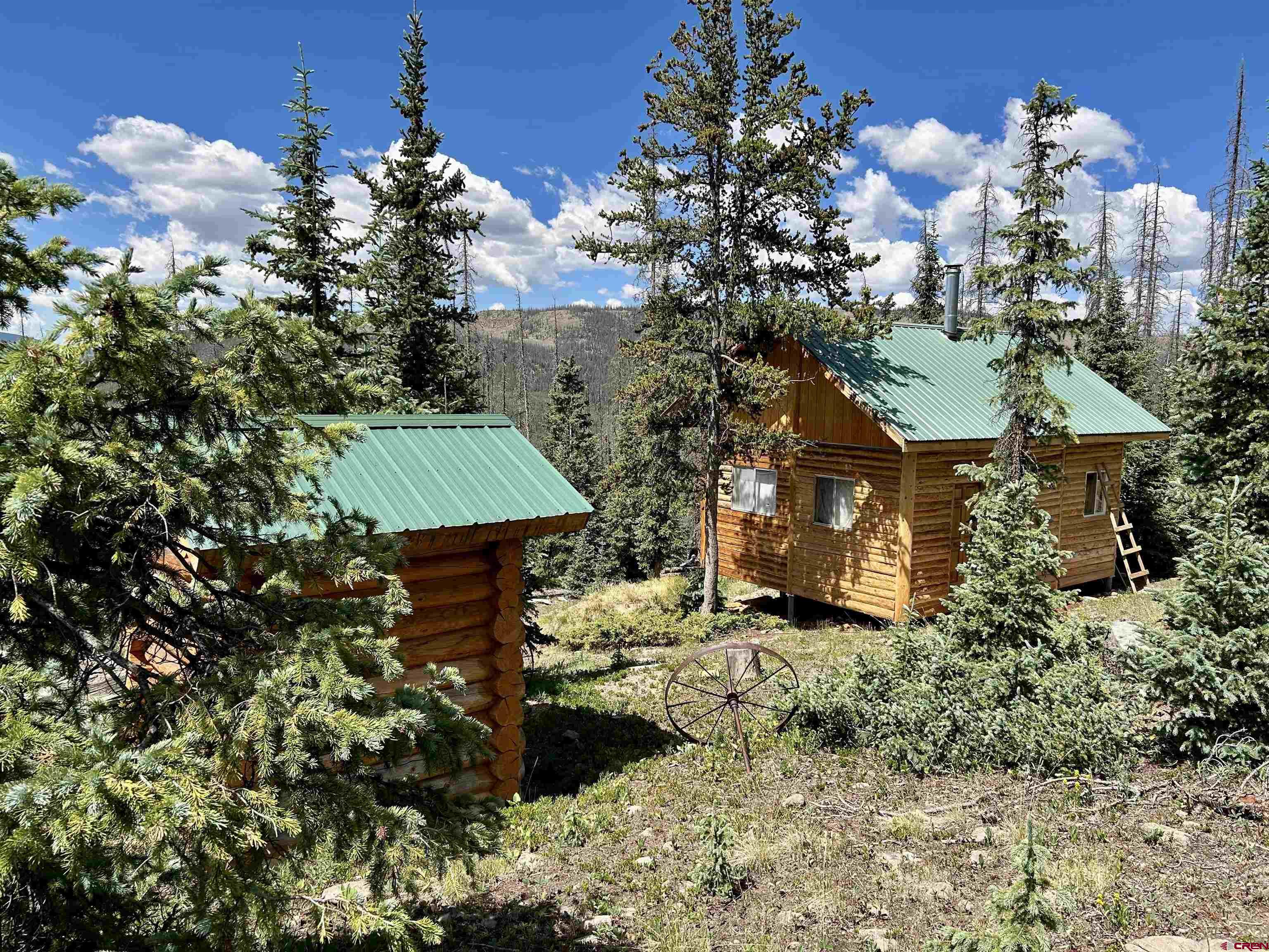 3190 FOREST ROAD 503, Creede, CO 81130