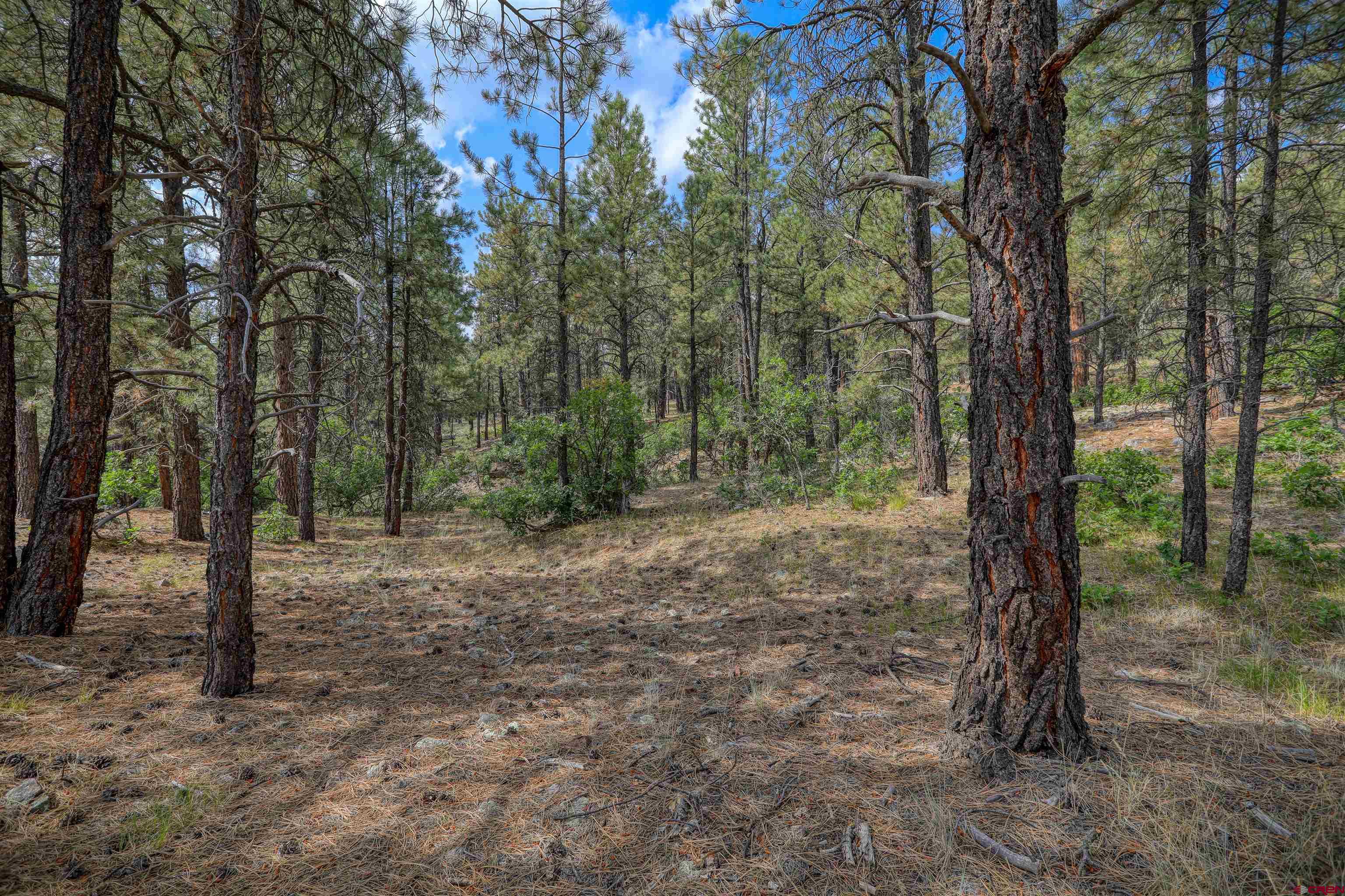 1855 W US Highway 160, Pagosa Springs, CO 81147 Listing Photo  26