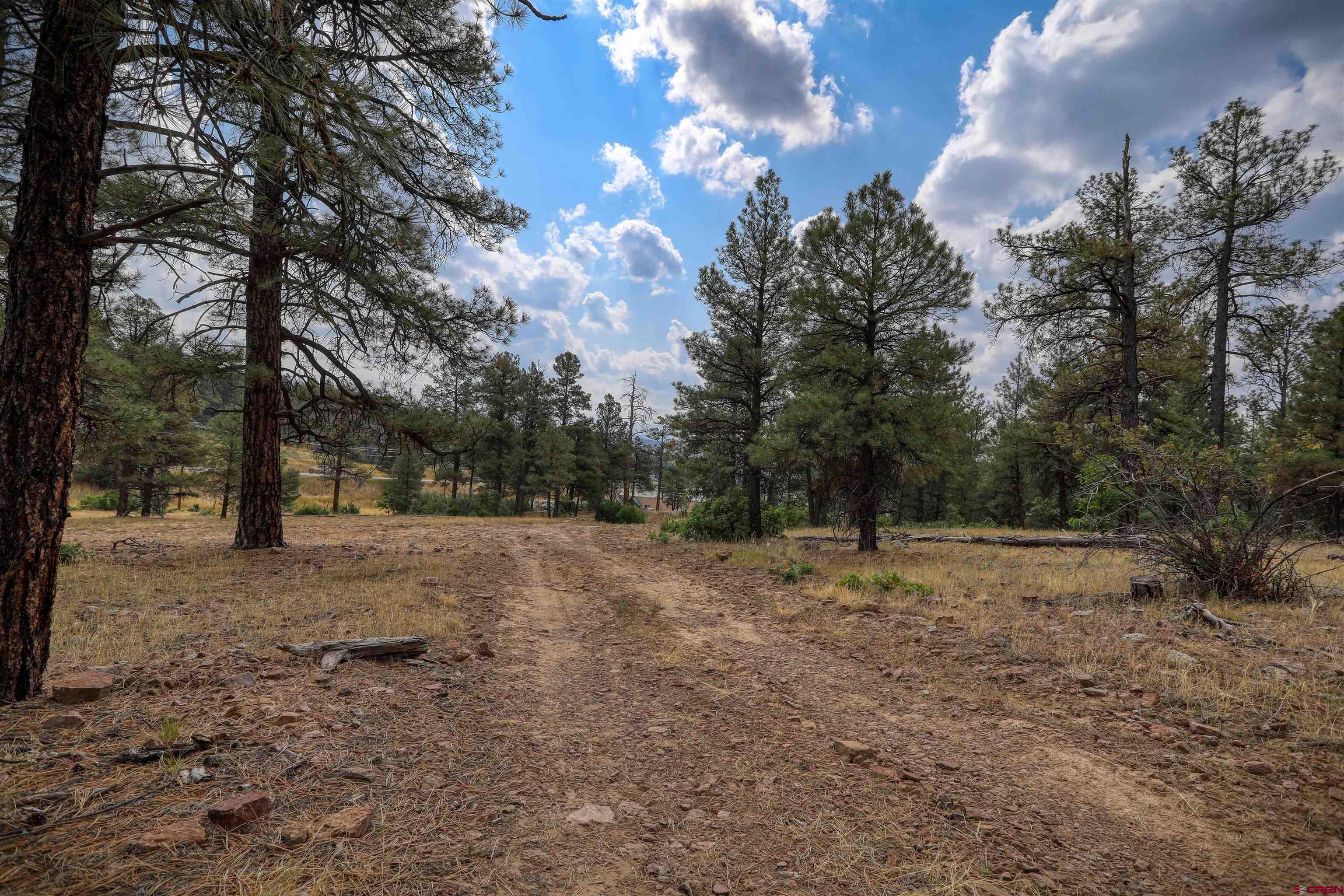 1855 W US Highway 160, Pagosa Springs, CO 81147 Listing Photo  8