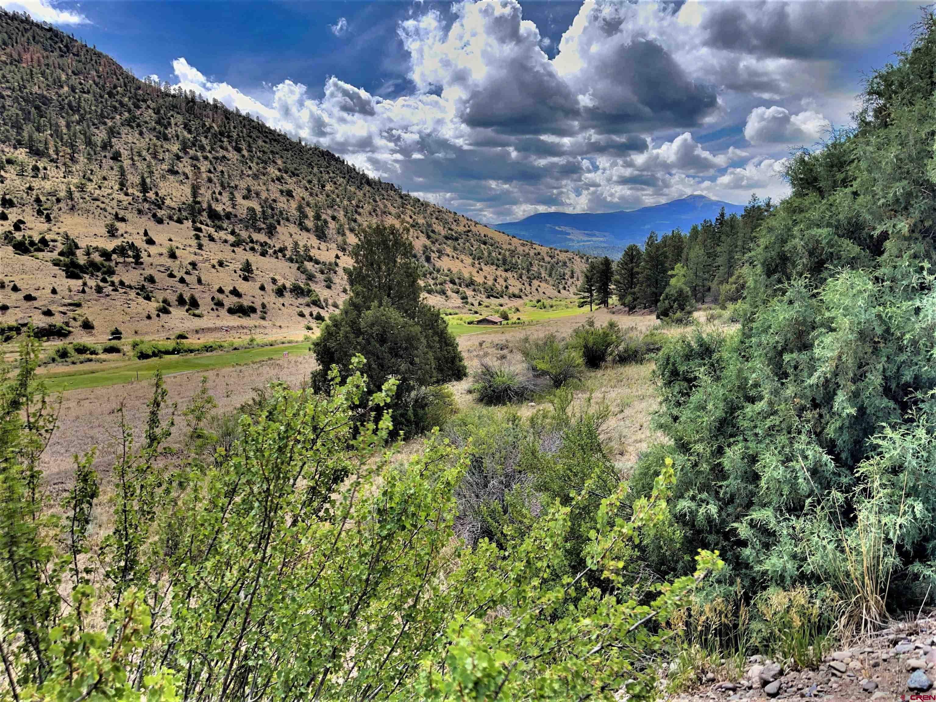Photo of 1090 Rio Grande Club Trl in South Fork, CO