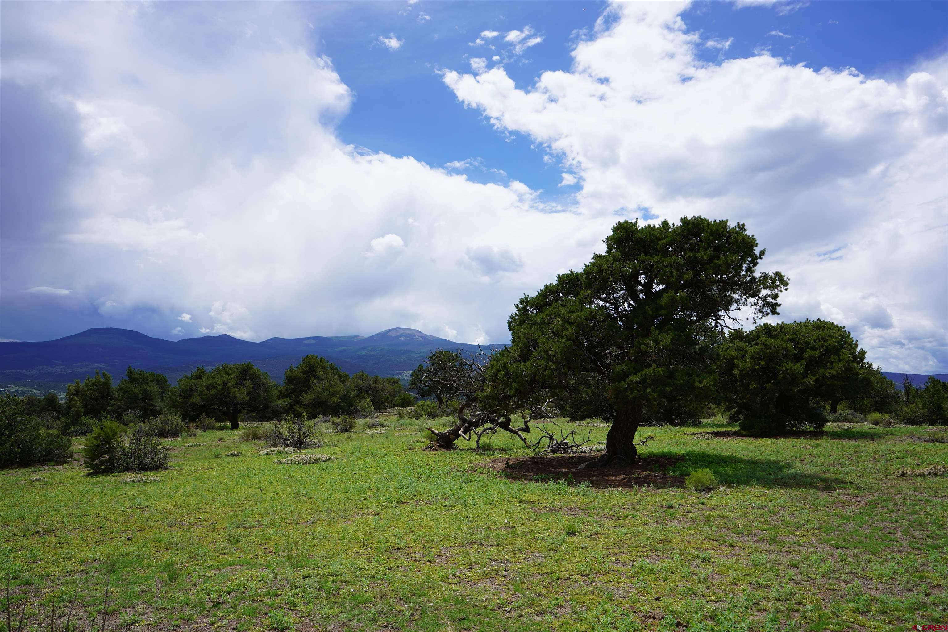 Photo of 281 E Pfieffer Loop in South Fork, CO