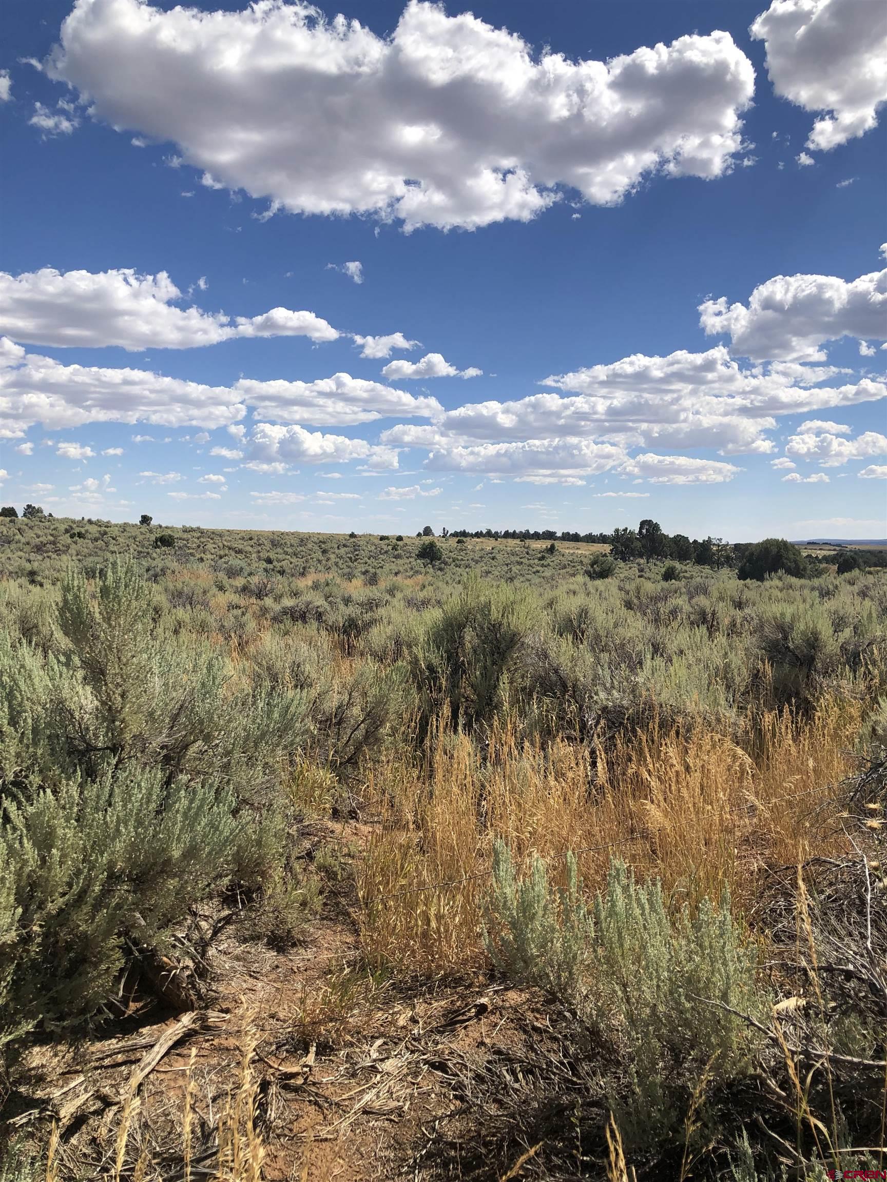 Photo of 663 Crystal Acres Rd in Hesperus, CO