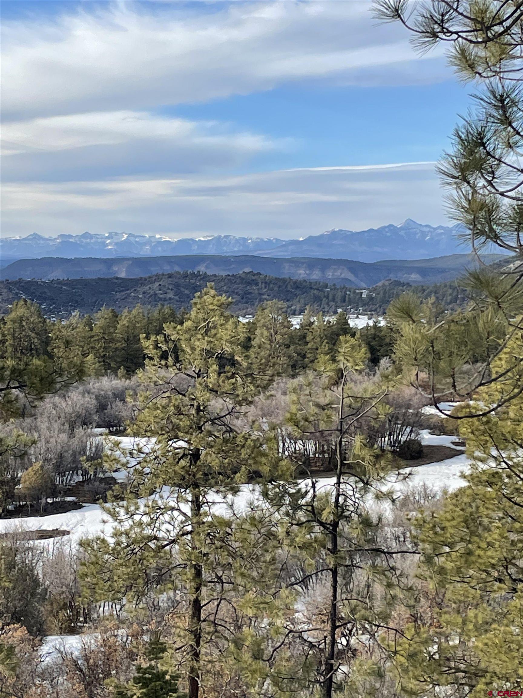 865 Top Ridge Place, Pagosa Springs, CO 81147 Listing Photo  3