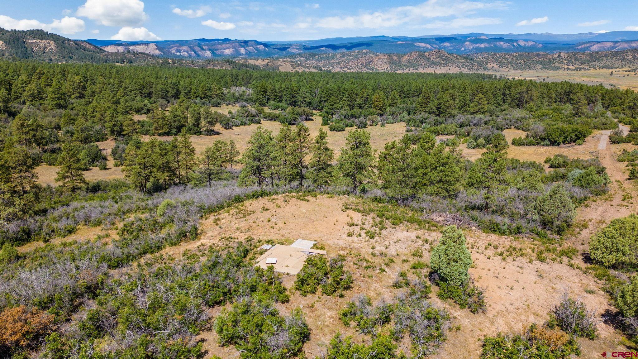 865 Top Ridge Place, Pagosa Springs, CO 81147 Listing Photo  8