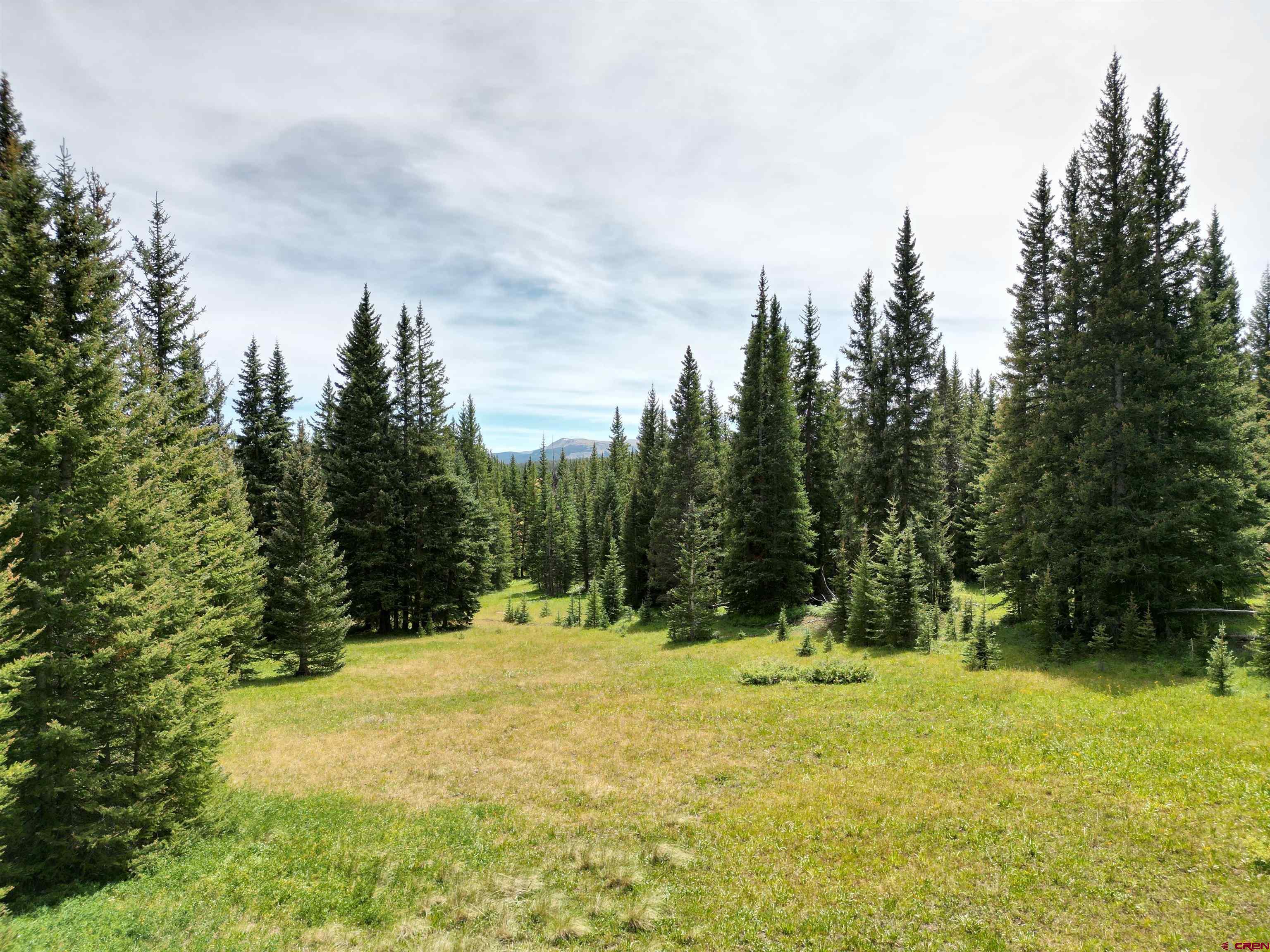 TBD County Road 864A, Cimarron, CO 81230 Listing Photo  1