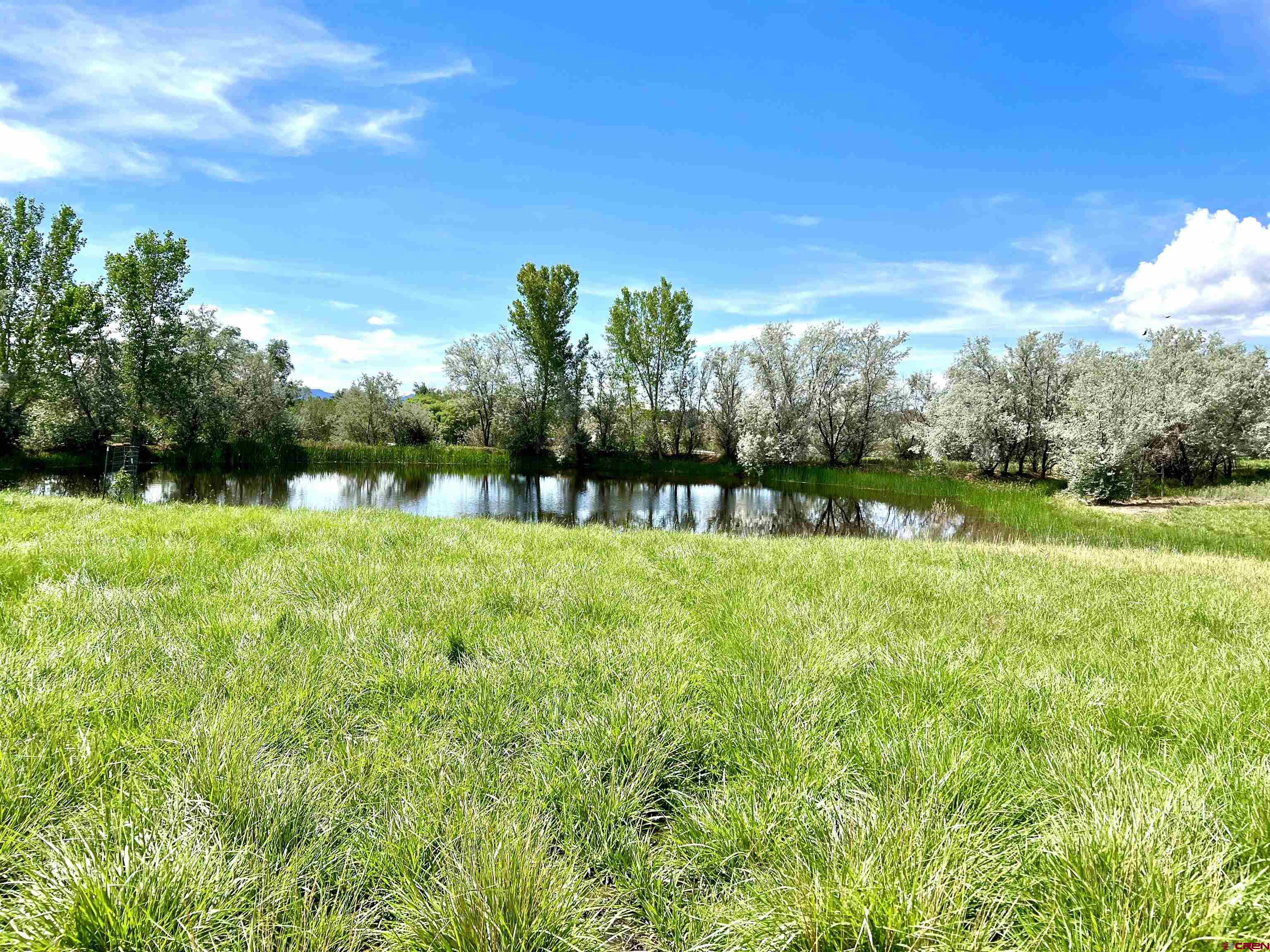 Photo of Tbd Rd 21 in Cortez, CO