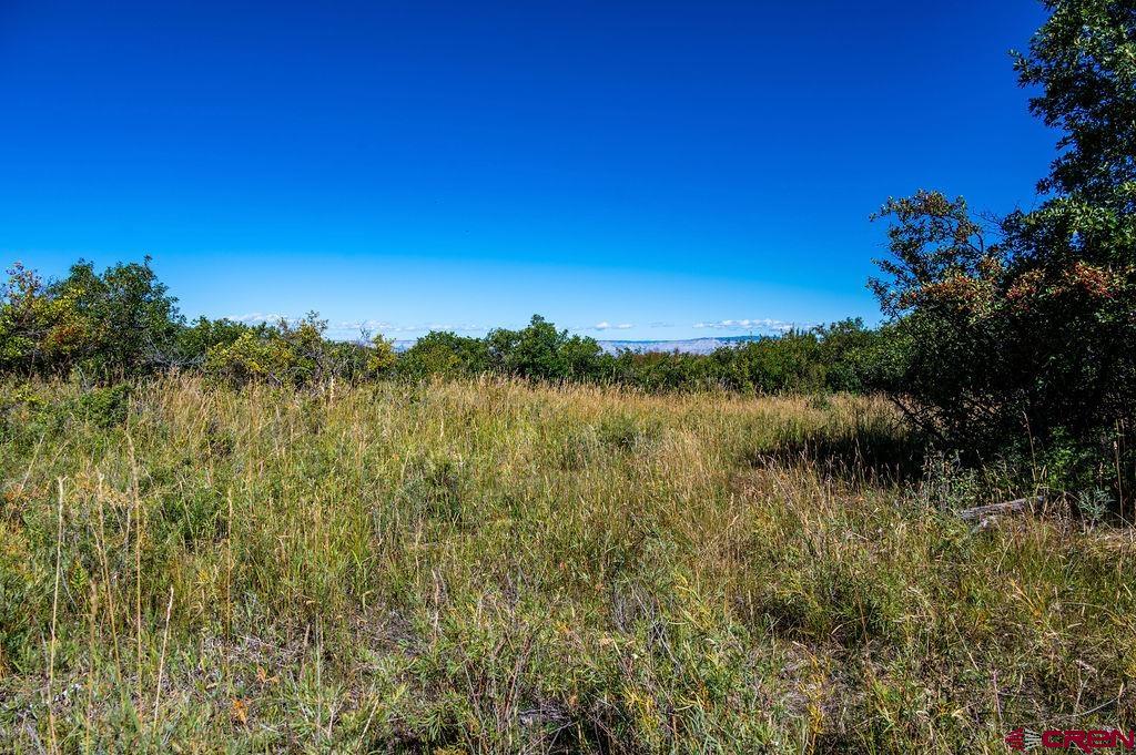 Photo of 48632 Rigby Rd in Mesa, CO