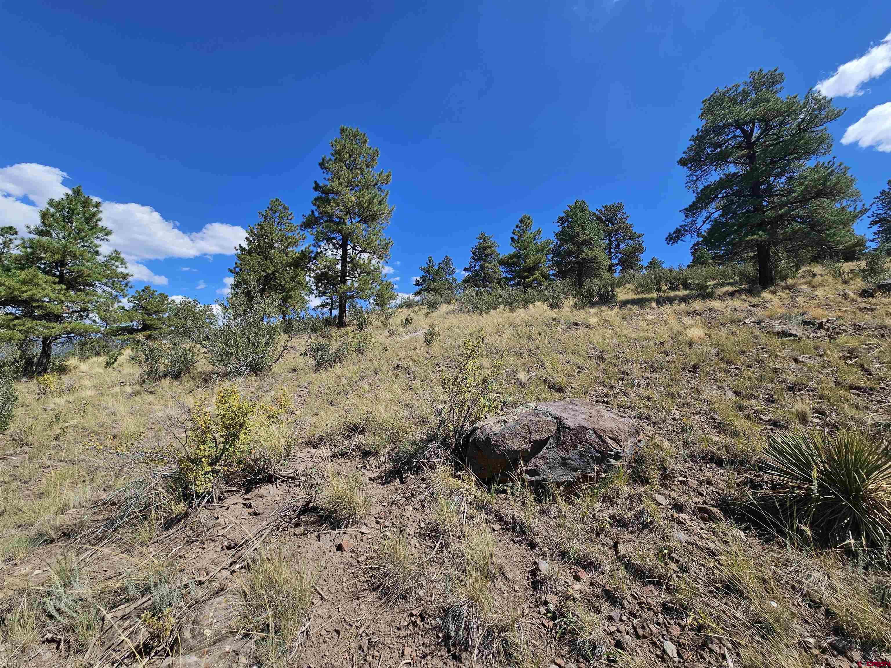 Photo of 358 Escondida Dr in South Fork, CO