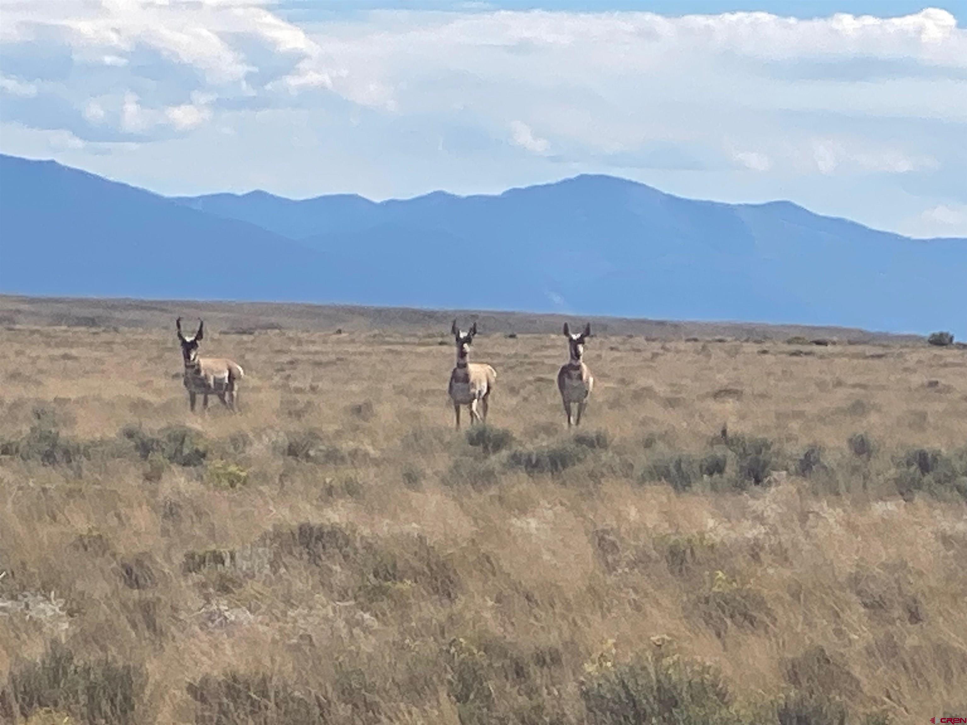 Photo of Tbd Grace Rd in San Luis, CO