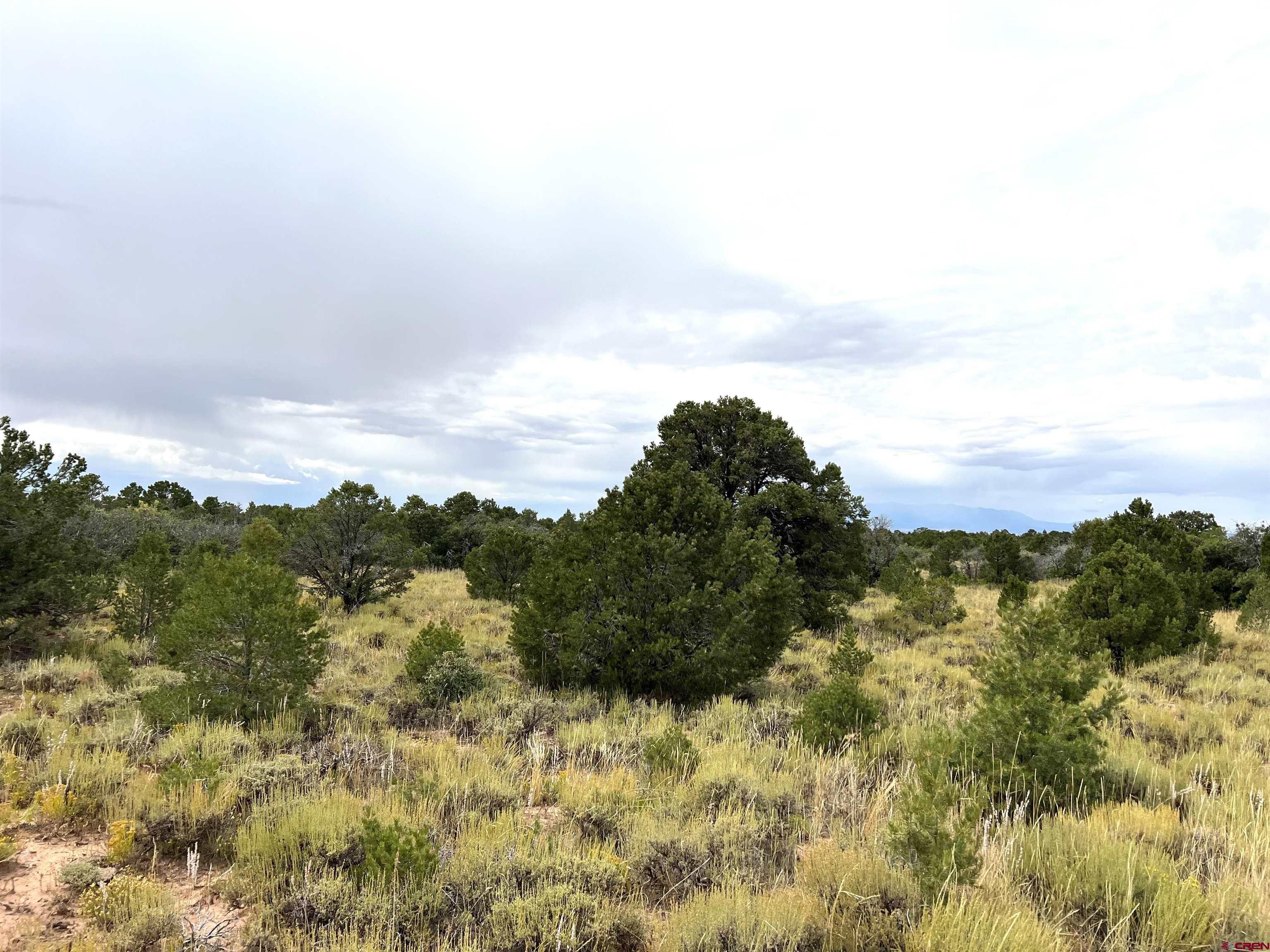 TBD Road J.7 Lot 1 Egnar CO 81325 Active