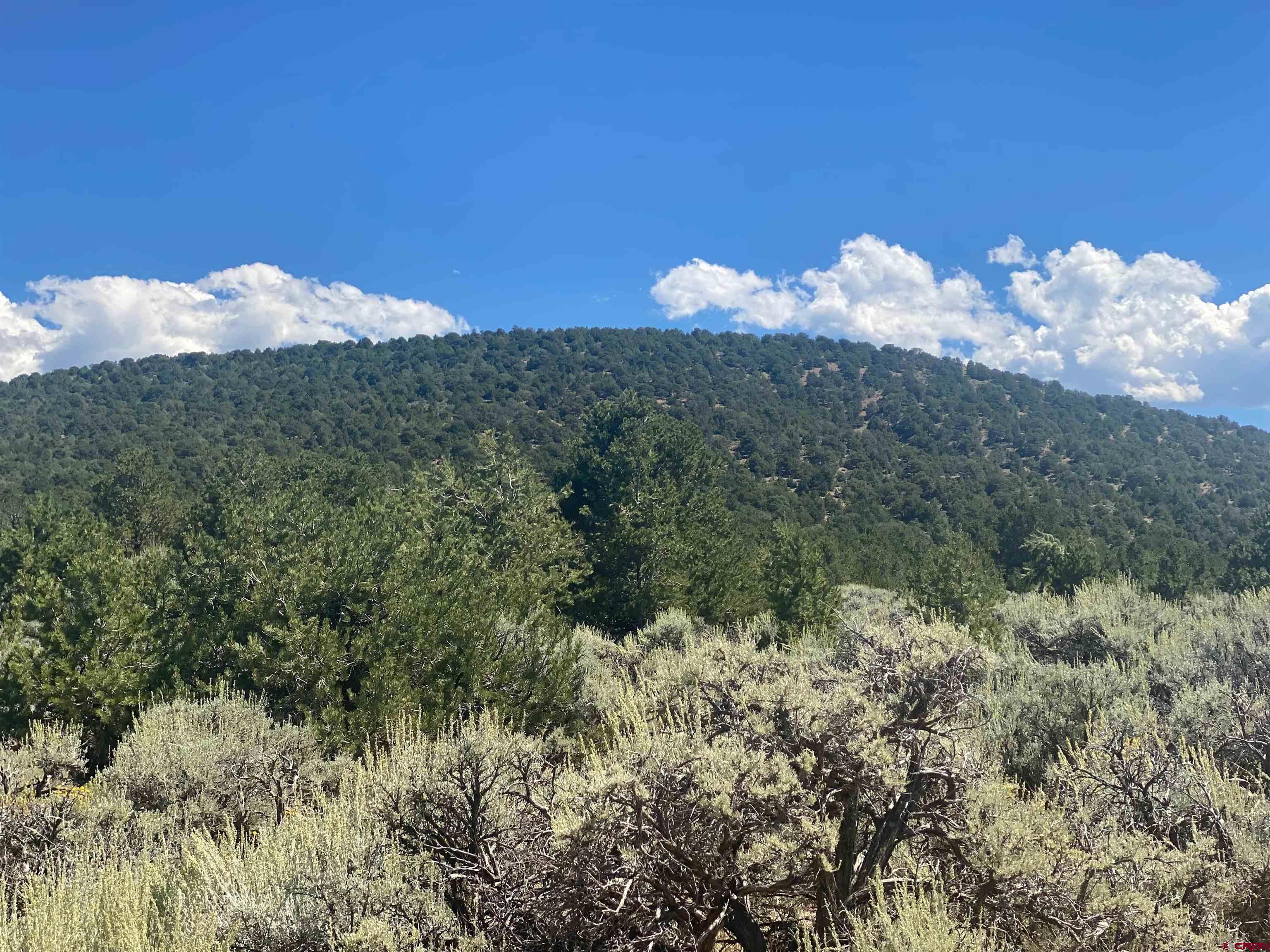 Photo of Charles Ave in San Luis, CO