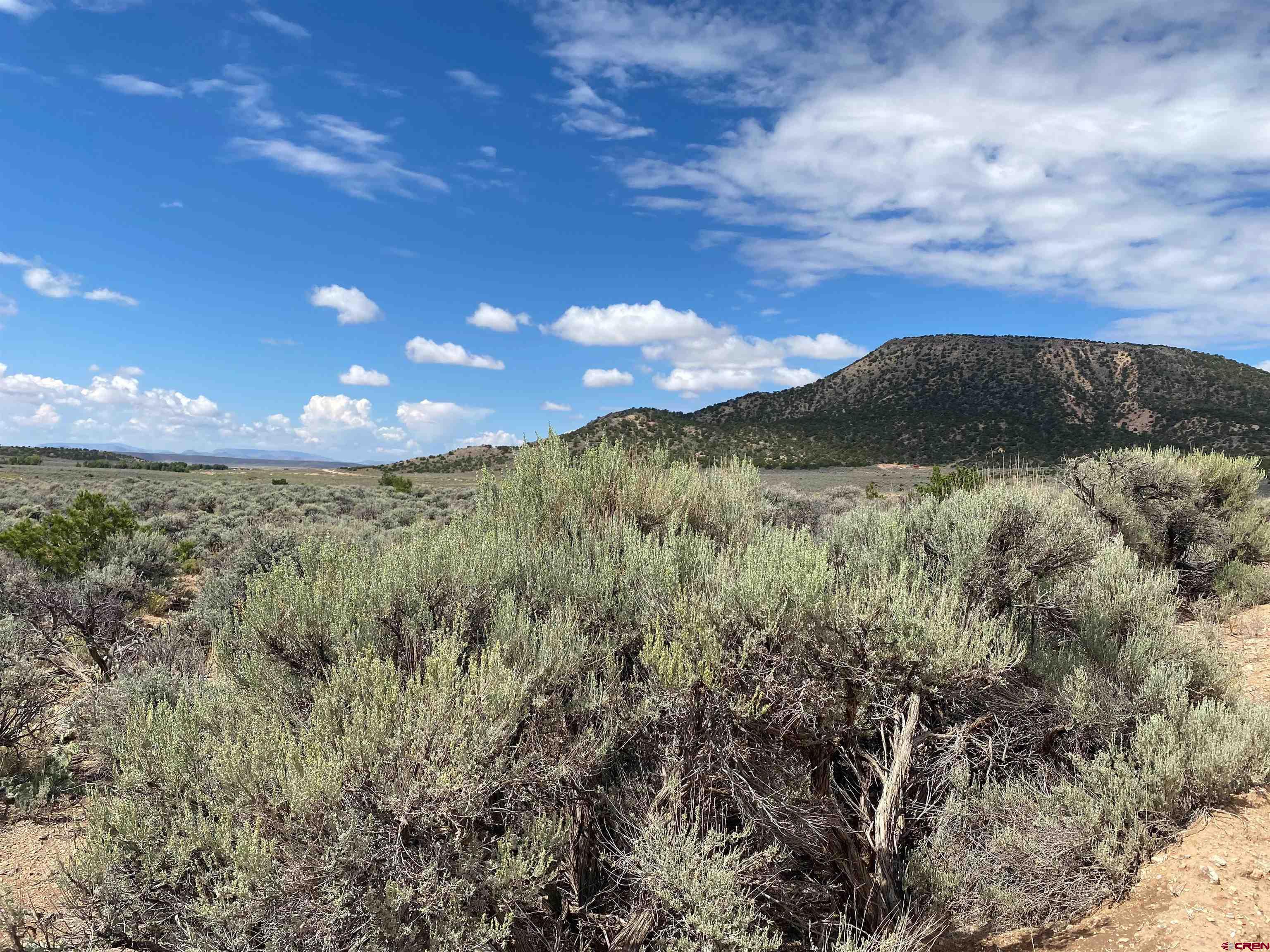 Photo of Slegers Rd in Fort  Garland, CO