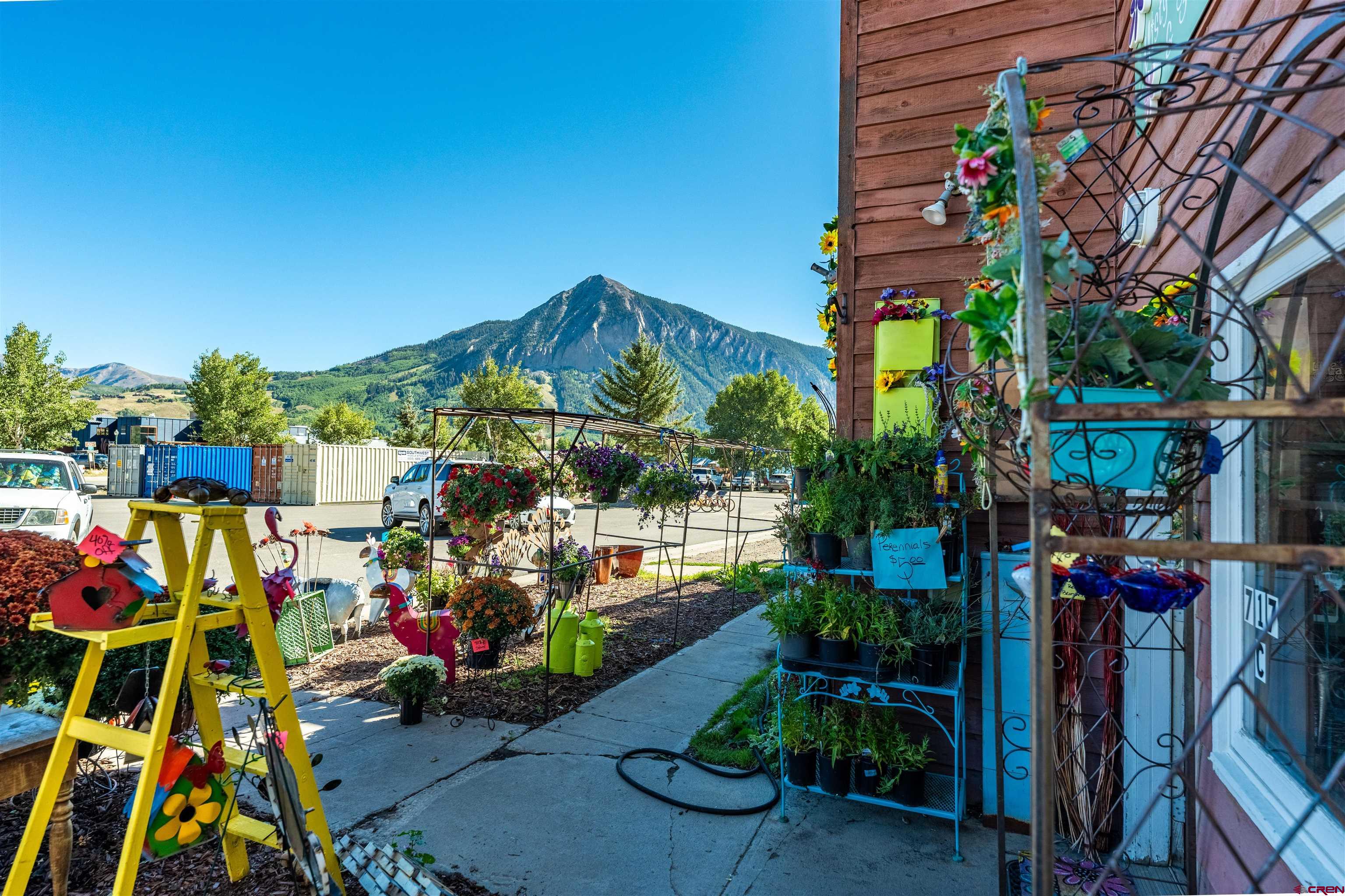 717 Sixth Street, Crested Butte, CO 81224