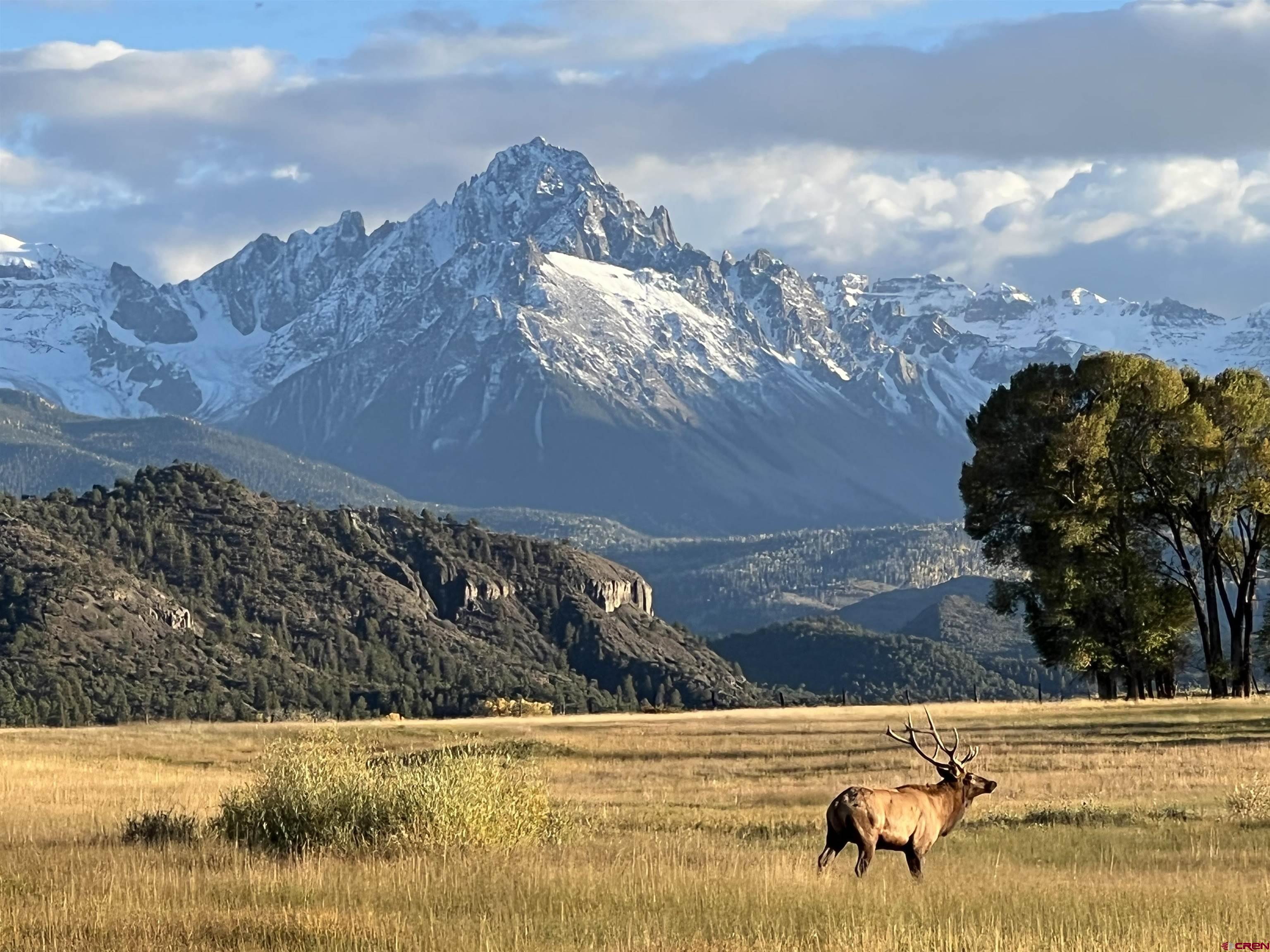 Absolute Prime Pleasant Valley in Ridgway. Incredible new building site directly across from Telluray Ranch with The Double RL in the background. Water tap installed and paid - electric installed to lot line. No HOA or any covenants. Approximately 12 minutes to the town of Ridgway - 50 minutes to Telluride. Easy to show property directly on County Road 24.