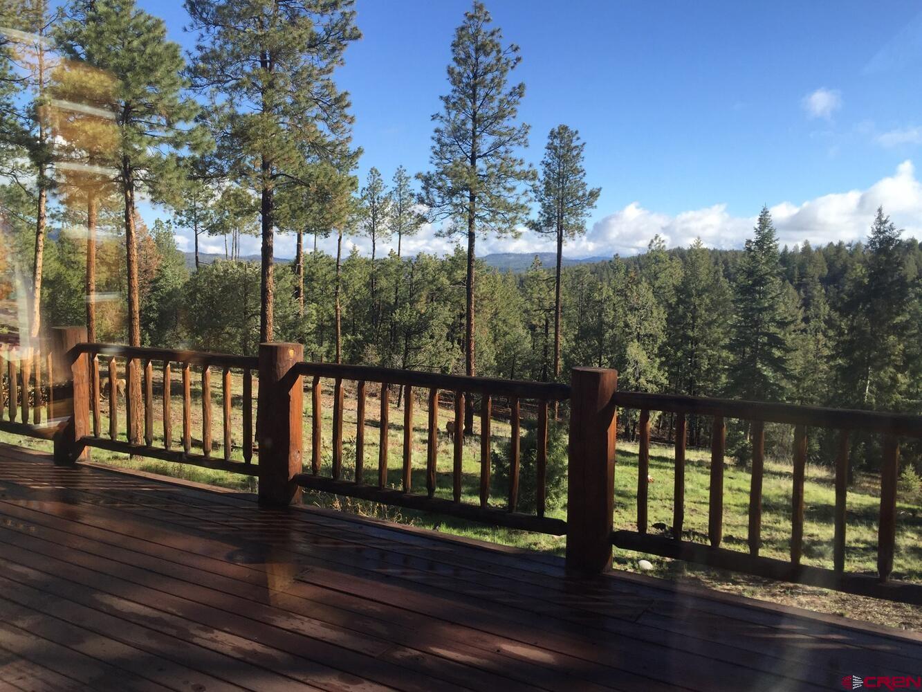 220 N Cougar Court, Pagosa Springs, CO 81147 Listing Photo  32