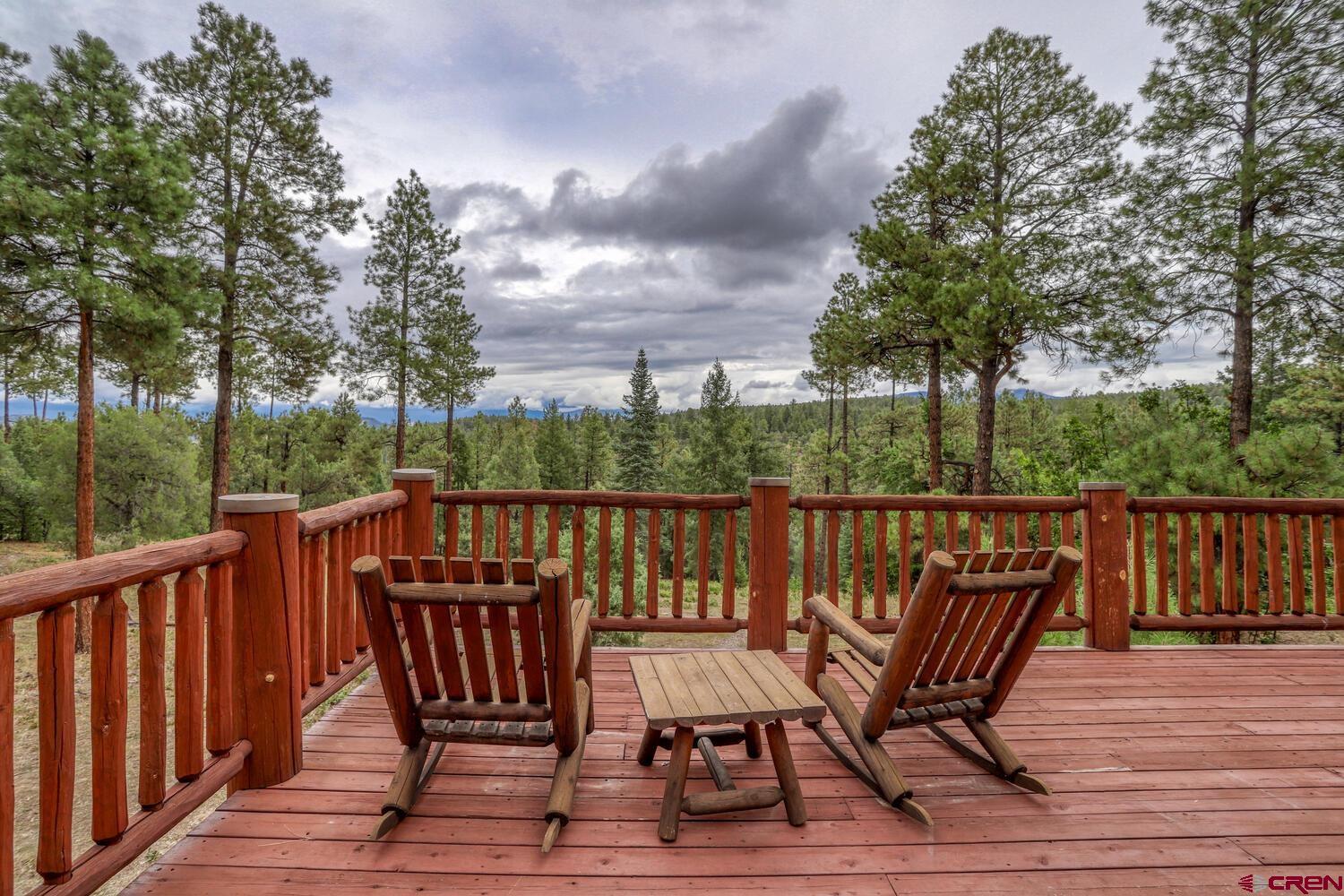 220 N Cougar Court, Pagosa Springs, CO 81147 Listing Photo  8