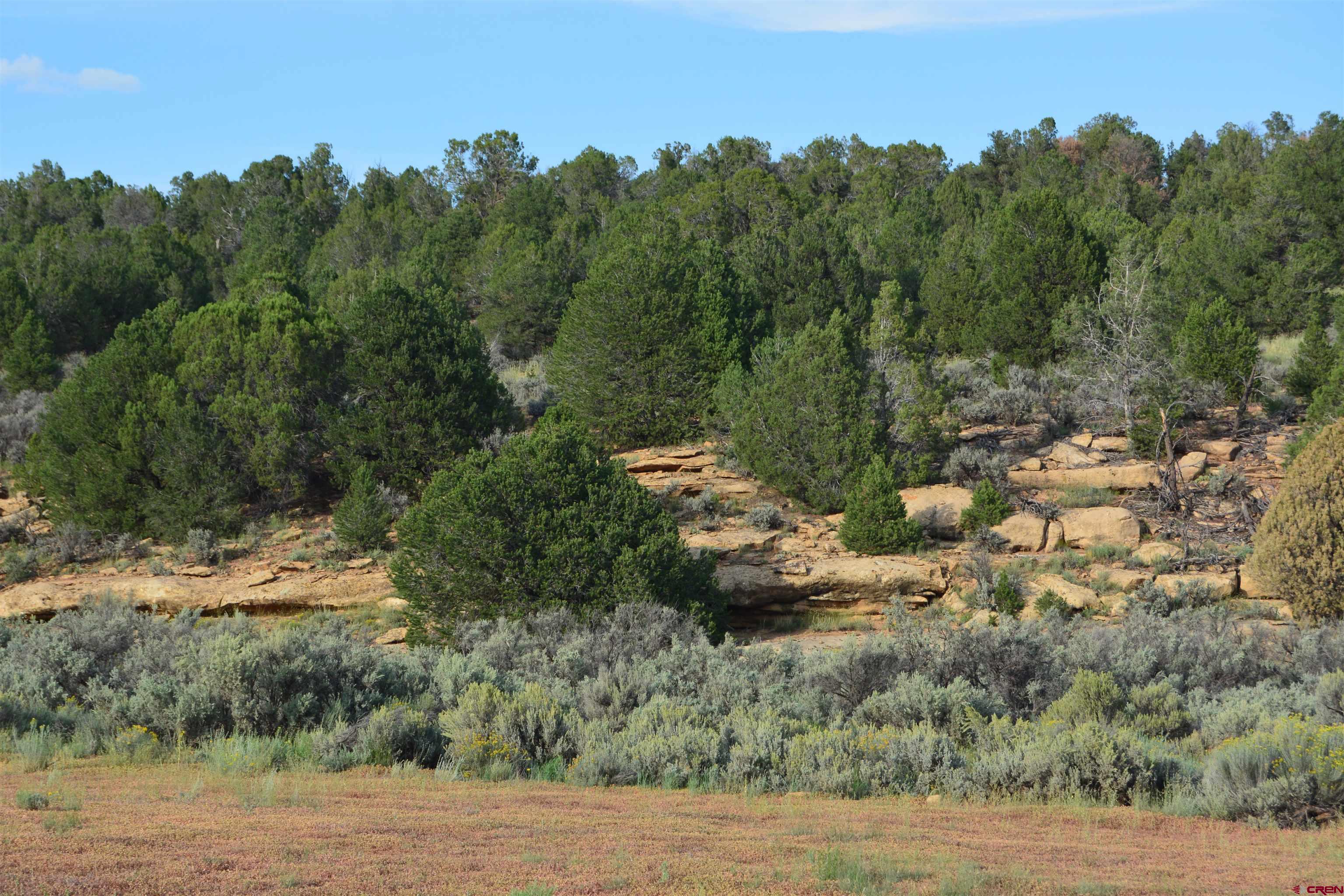 Photo of Tbd County Rd 109 in Hesperus, CO