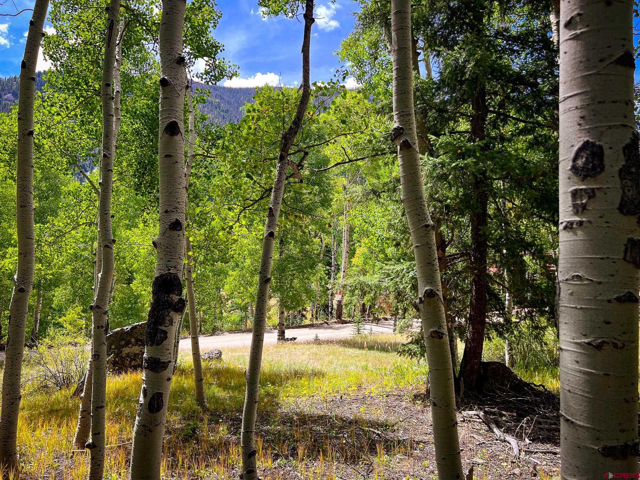 Photo of Tbd Alamosa Ave in Jasper, CO