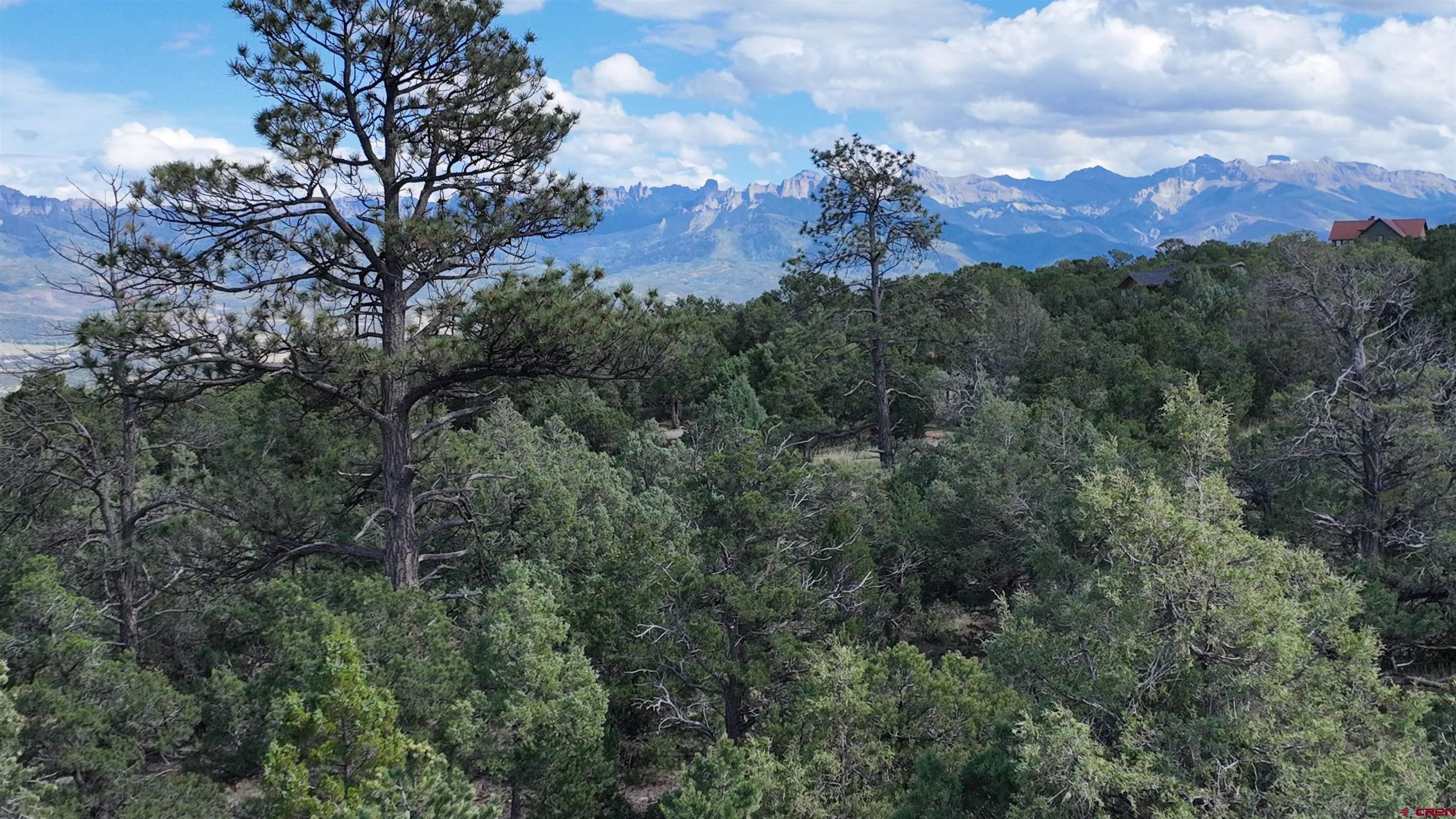Photo of 2209 Ponderosa Dr in Ridgway, CO