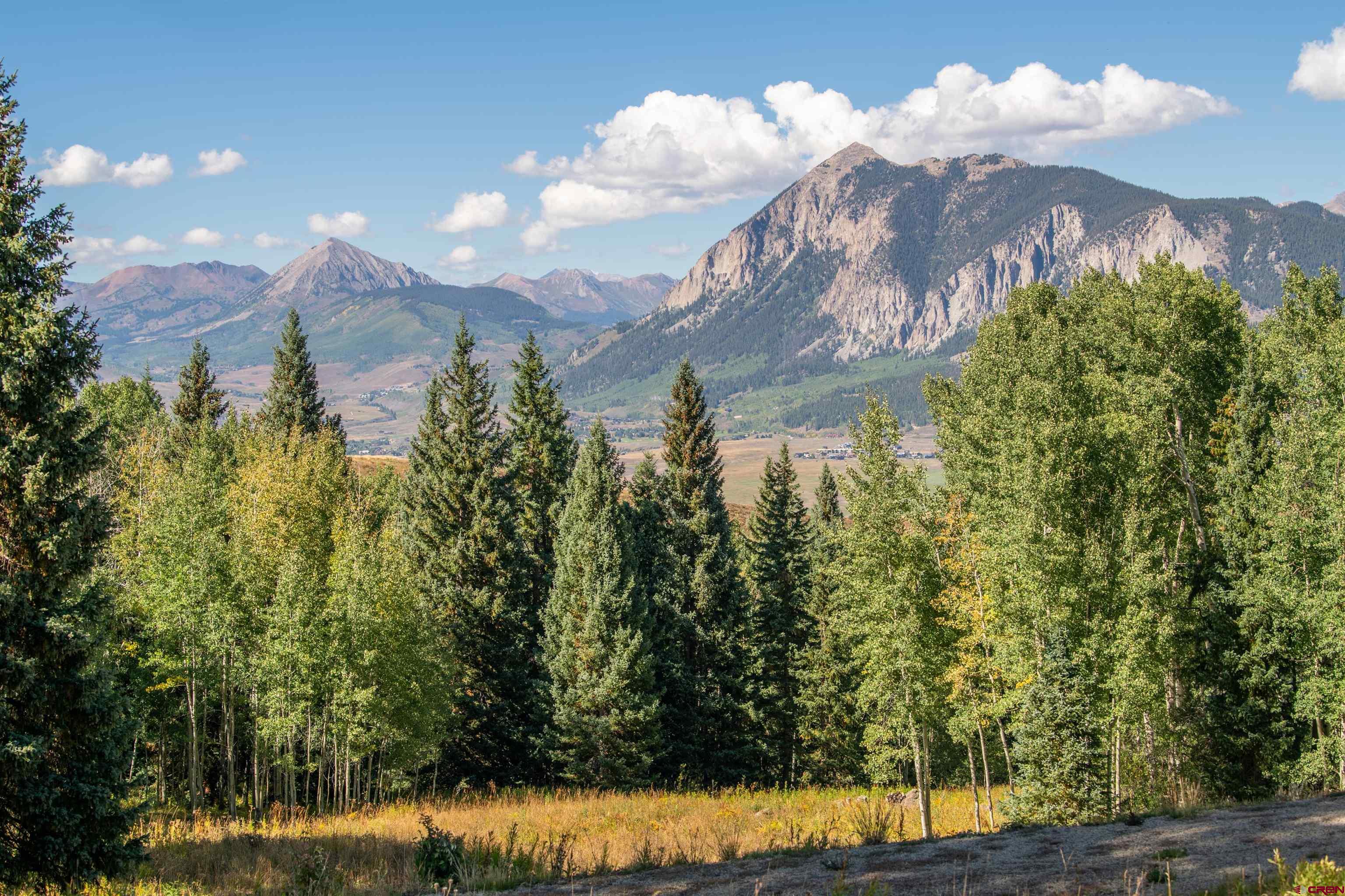 794 Red Mountain Ranch Lower Loop, Crested Butte, CO 