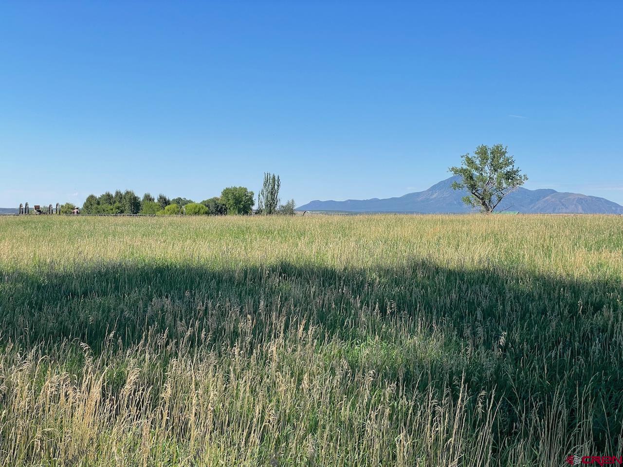 Photo of 16767 Hwy 491 #Guess in Cortez, CO