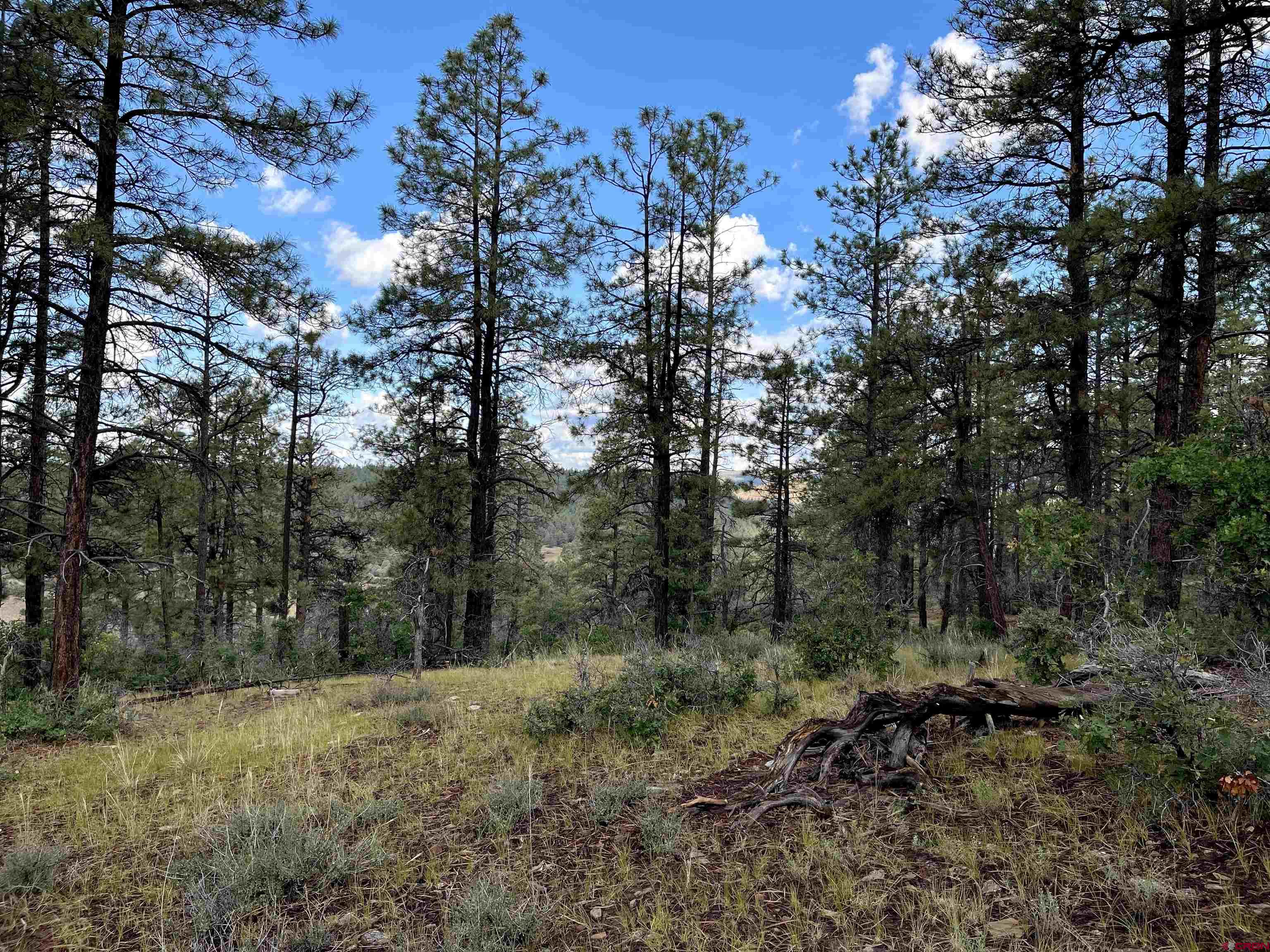 974 West View Road, Pagosa Springs, CO 81147 Listing Photo  14