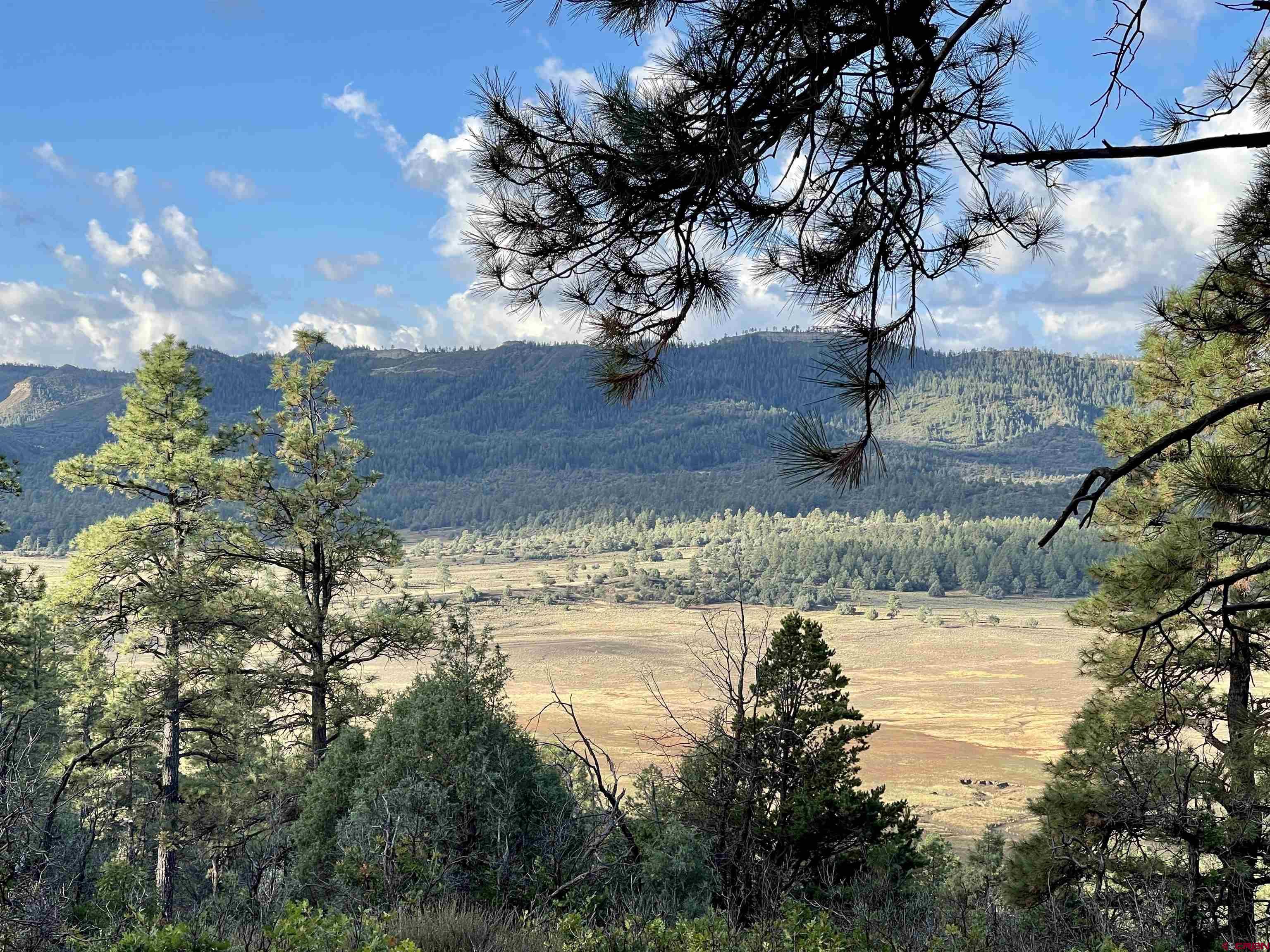 974 West View Road, Pagosa Springs, CO 81147 Listing Photo  7