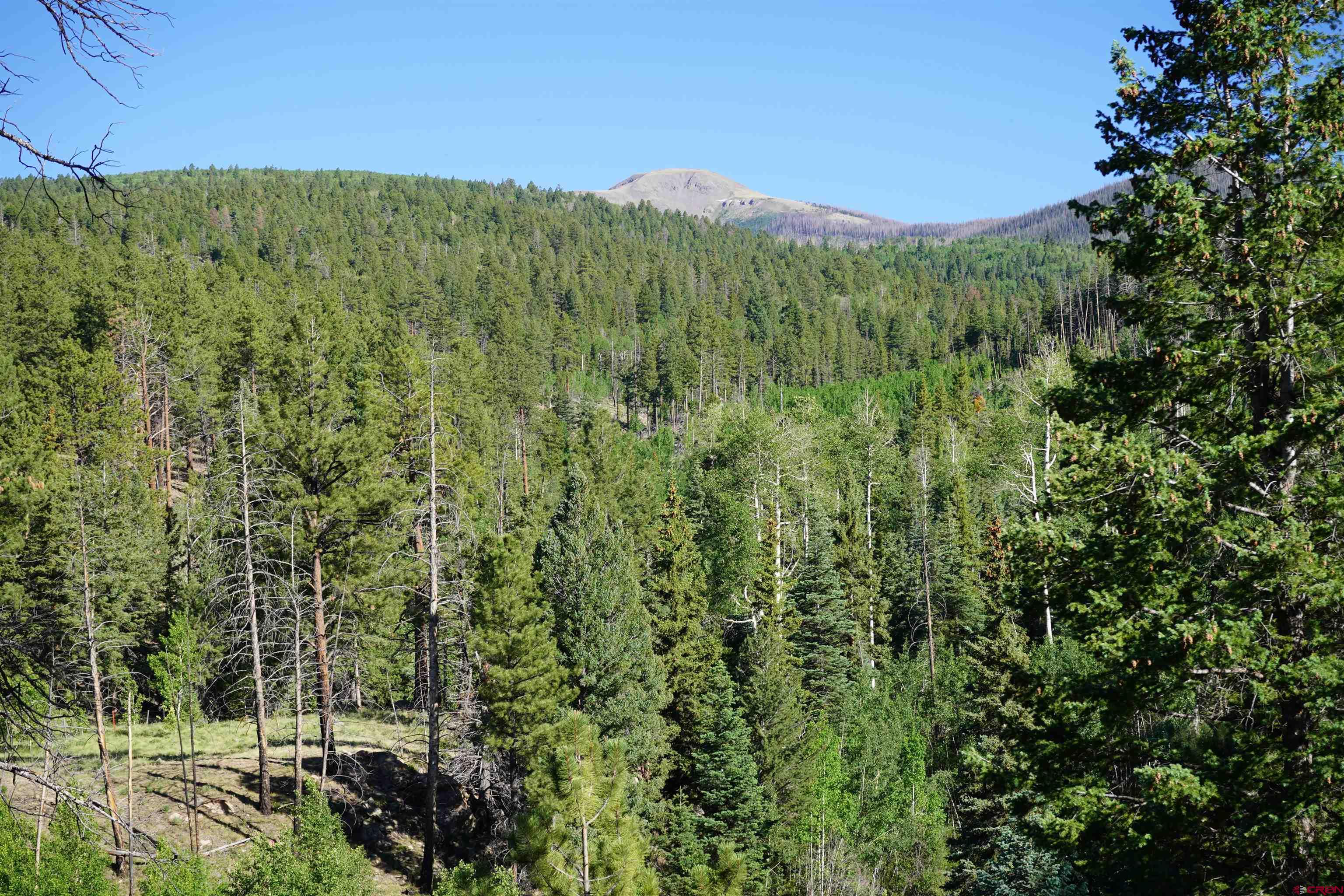 Photo of 2651 Willow Park Dr in South Fork, CO