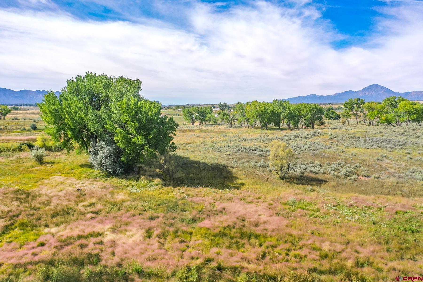 Photo of Tbd M in Cortez, CO
